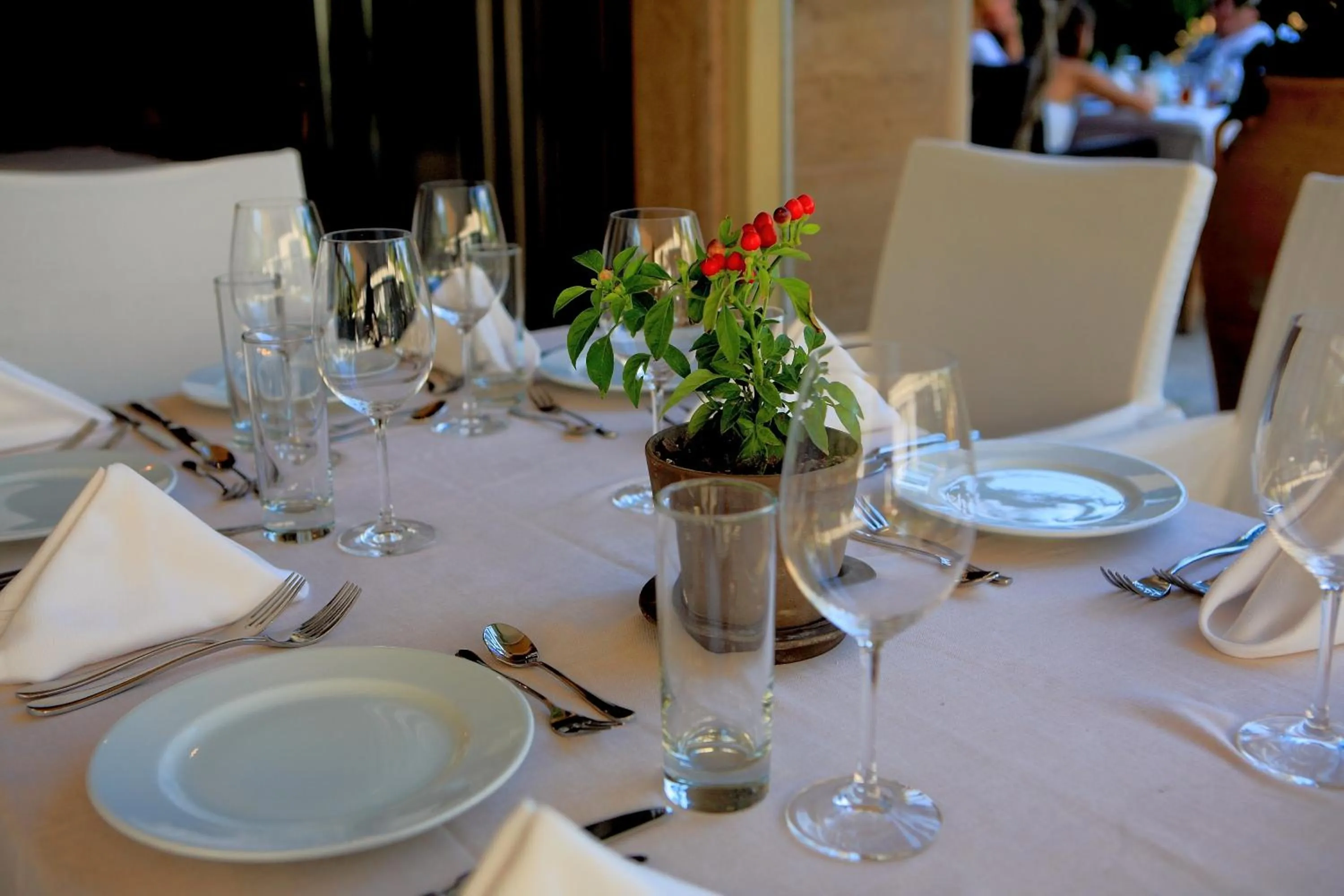 Restaurant/places to eat in Park Hotel Sandanski