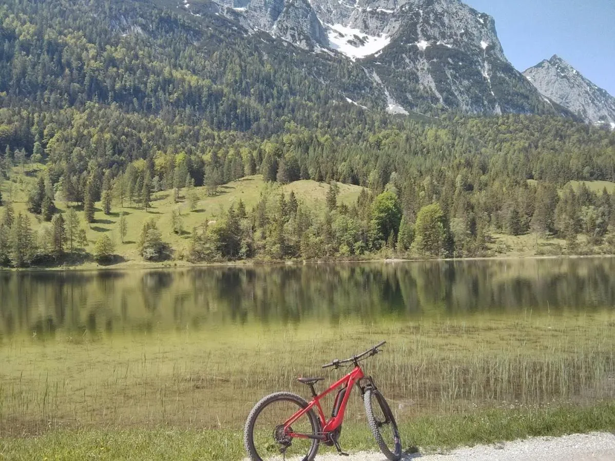 Natural landscape in Raffl's Hotel