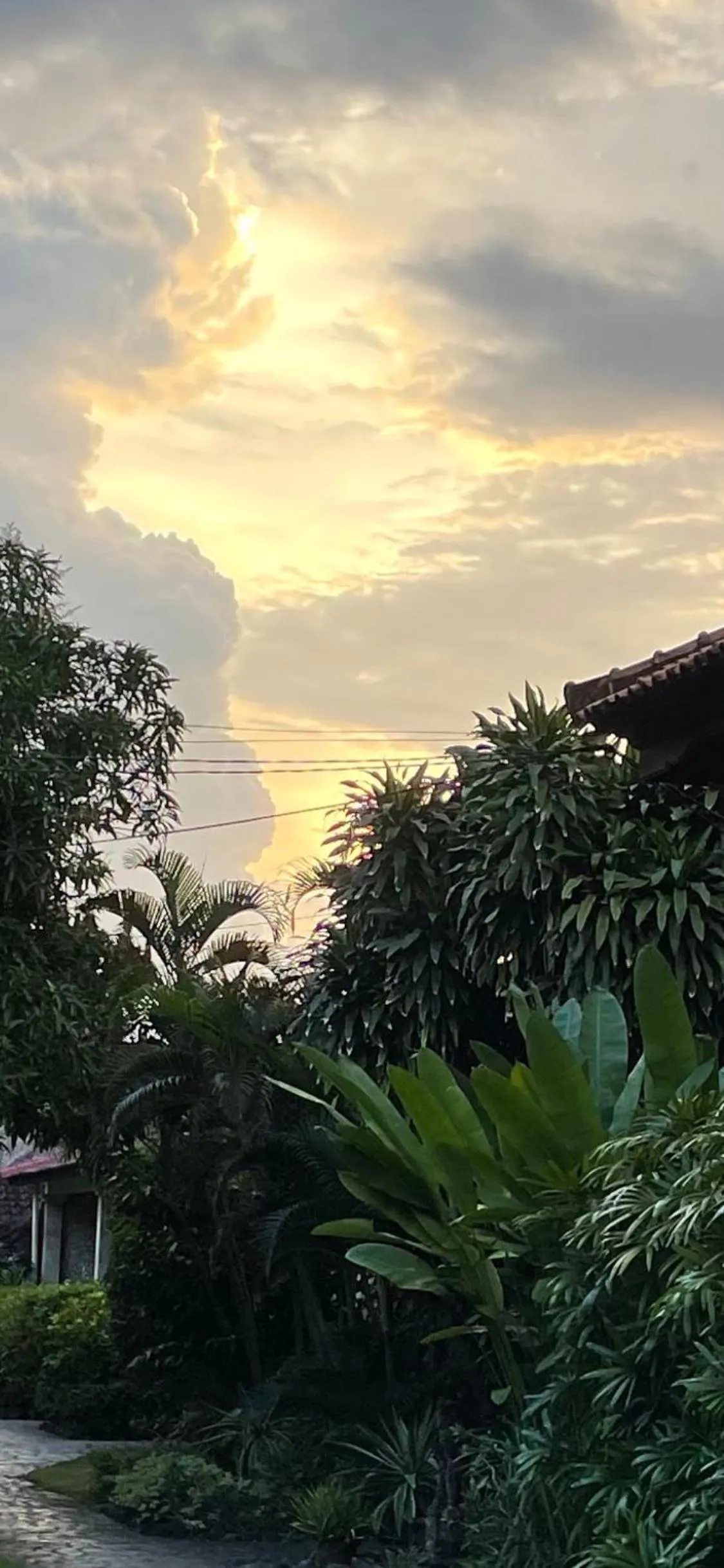 Garden view in Raja Gardens Hotel