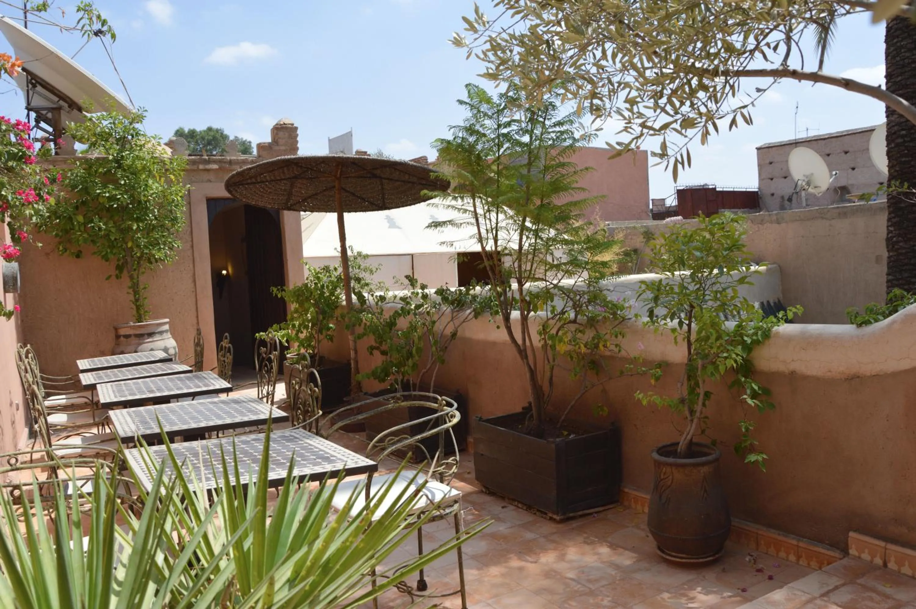Garden view in Riad Palmier