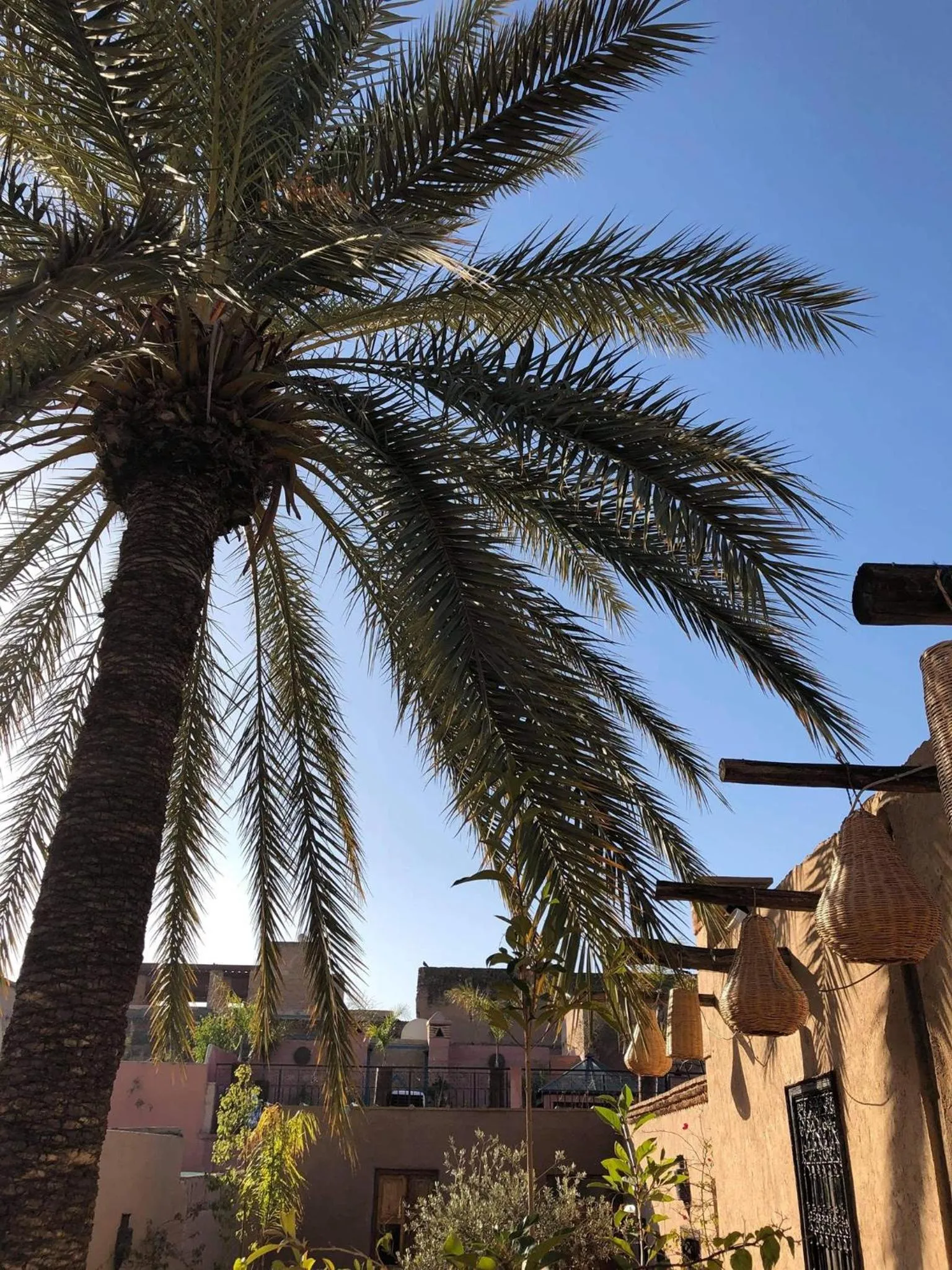 City view in Riad Palmier