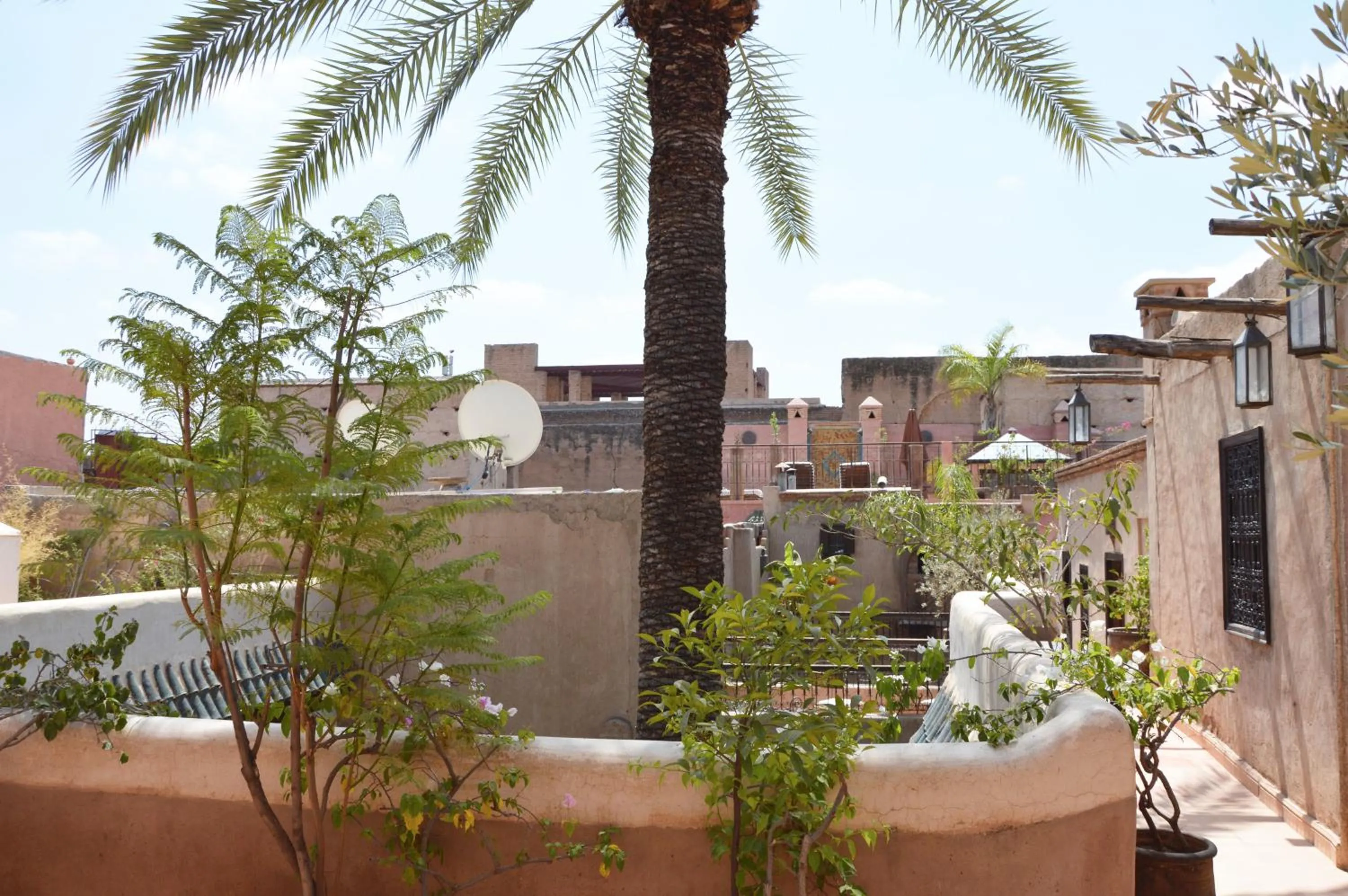 Landmark view in Riad Palmier