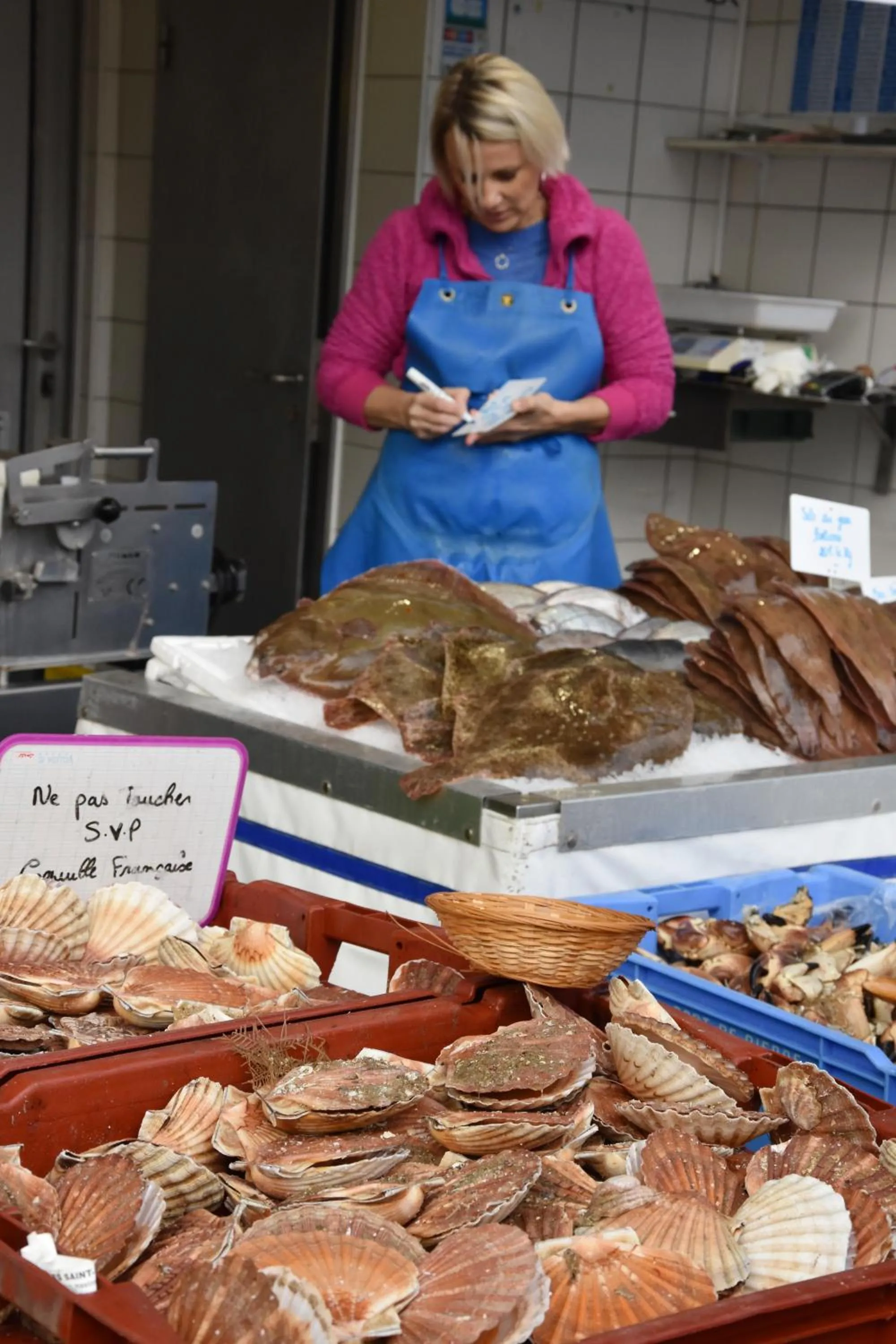 Activities in Opal'Inn