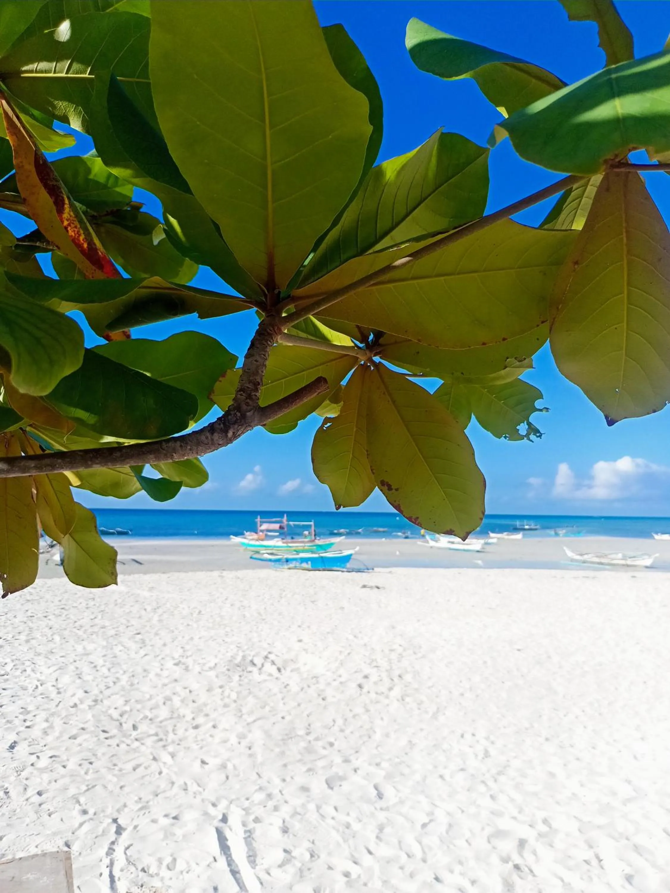 Sea view in Nanette's Tourist Inn