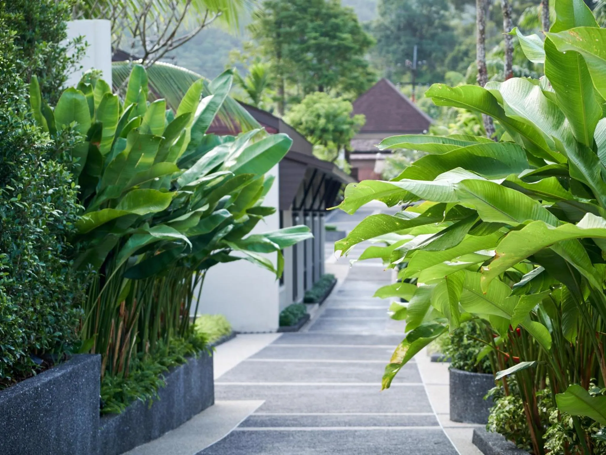 Garden in De Malee Pool Villas - SHA Extra Plus