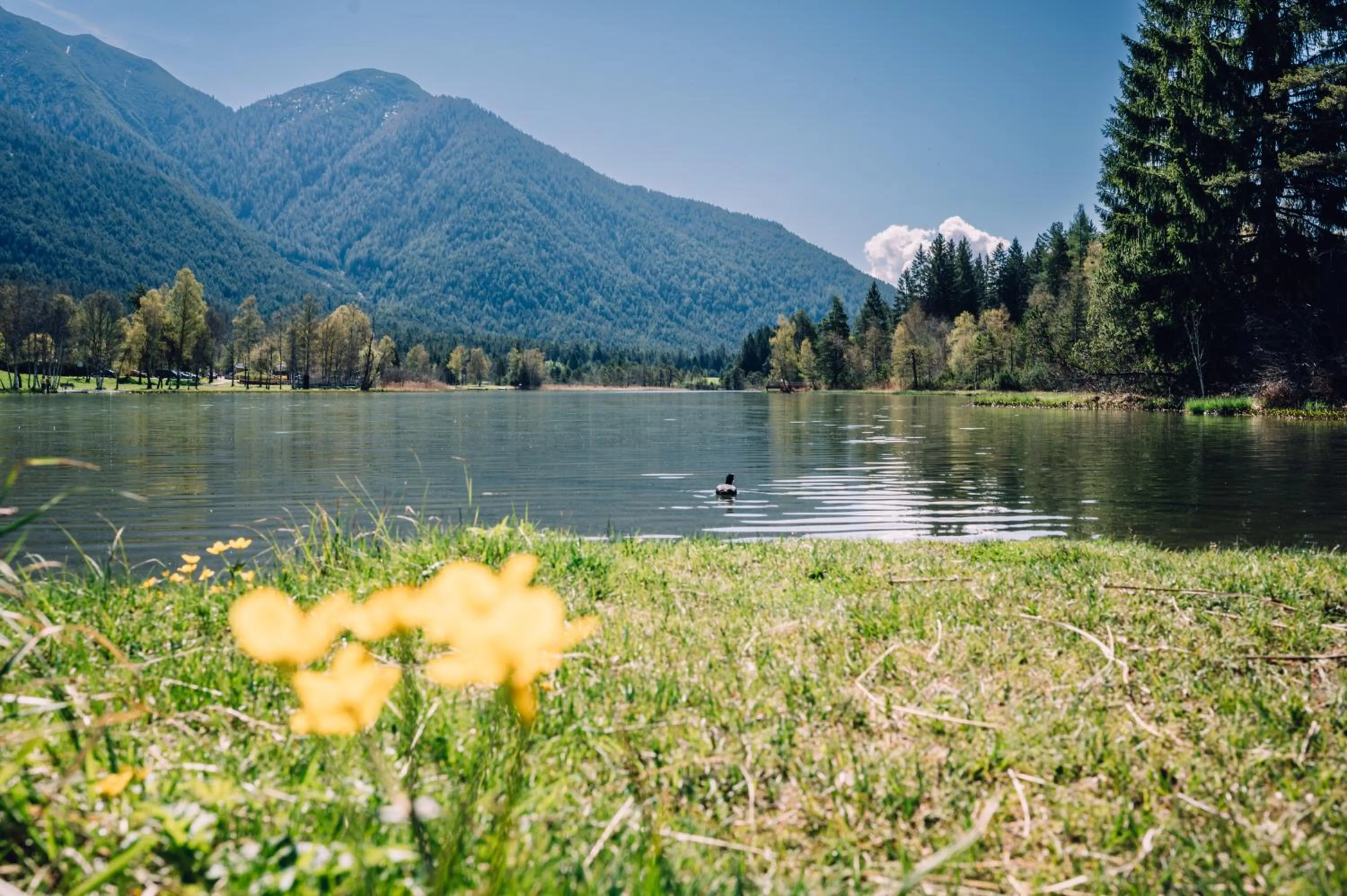 Nearby landmark in HENRI Country House Seefeld