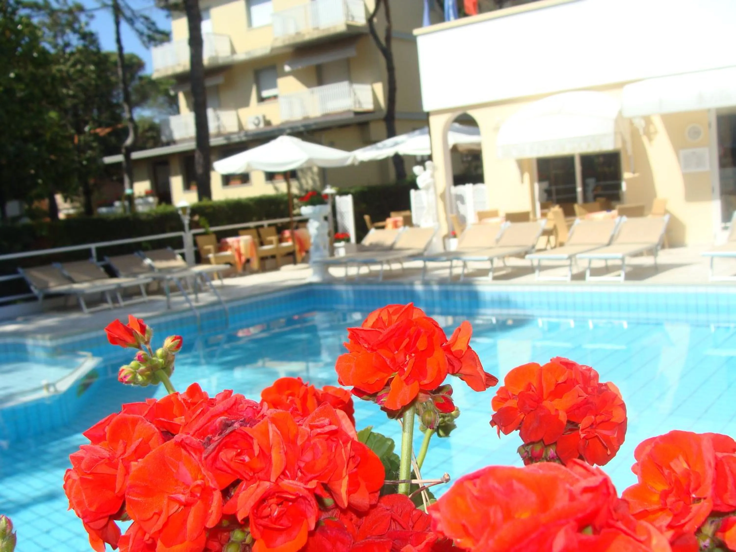 Swimming pool in Hotel Villa Luisa