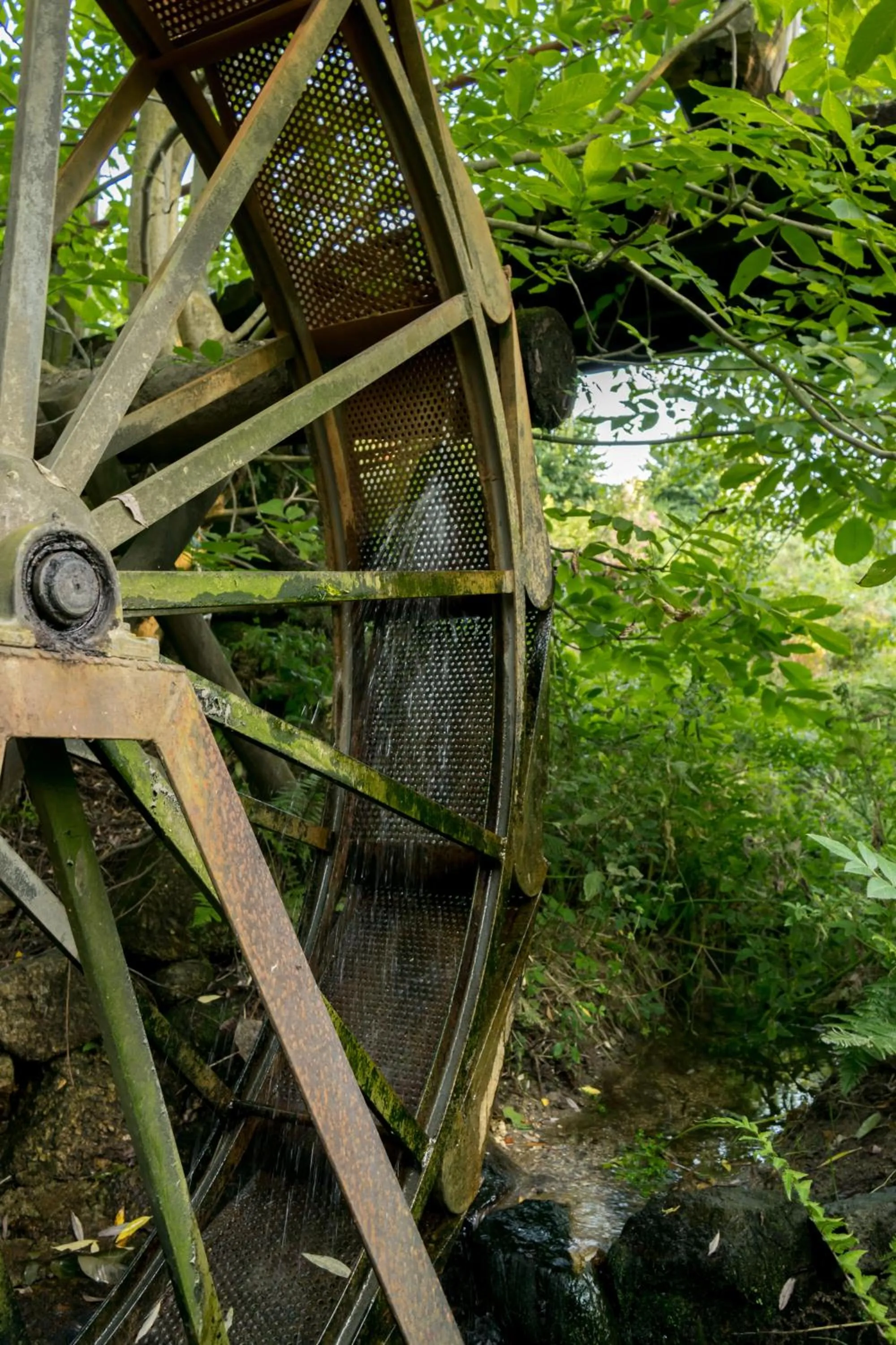 Day in Quinta Do Crestelo Aparthotel