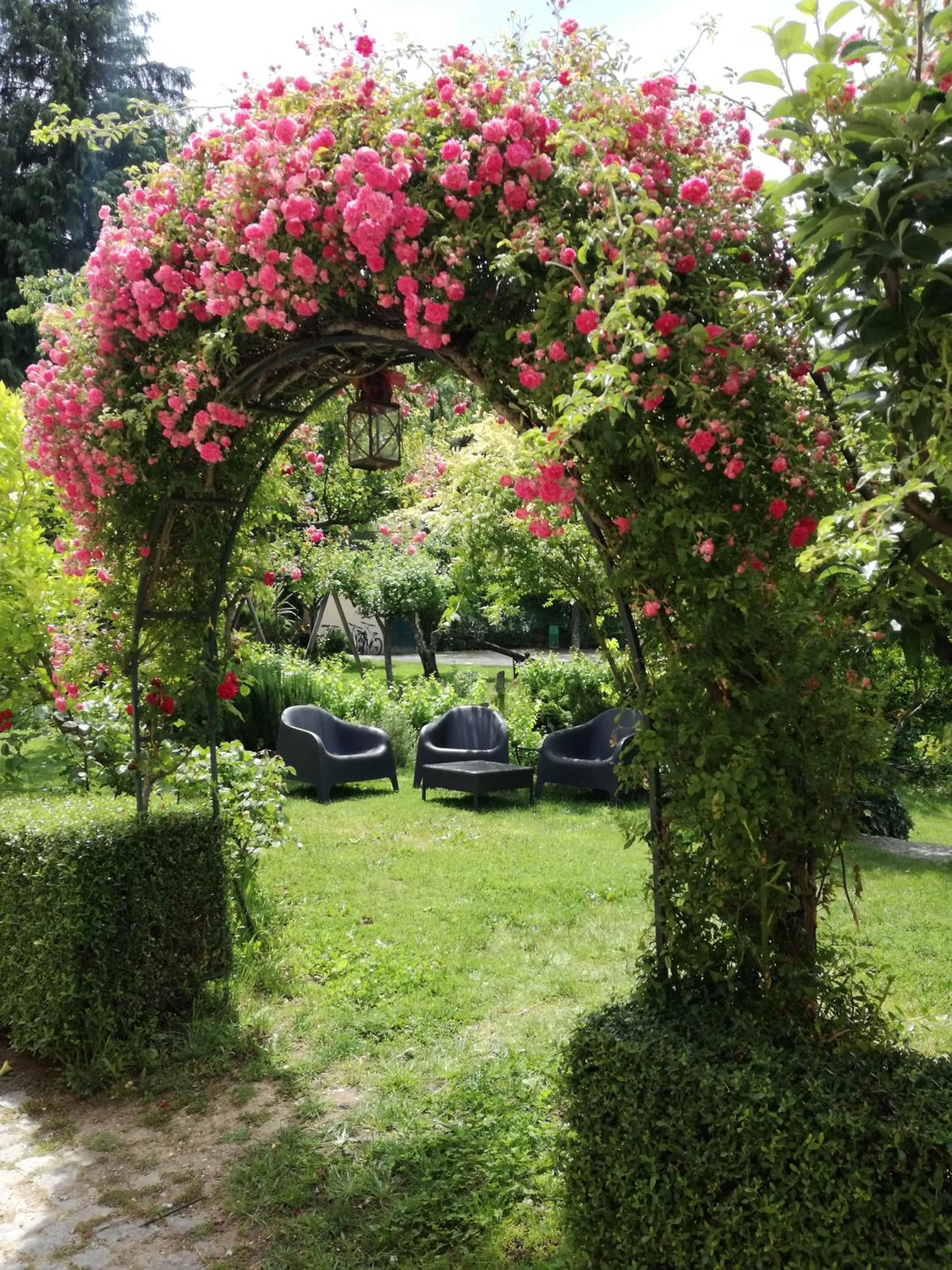 Patio in Quinta Do Crestelo Aparthotel