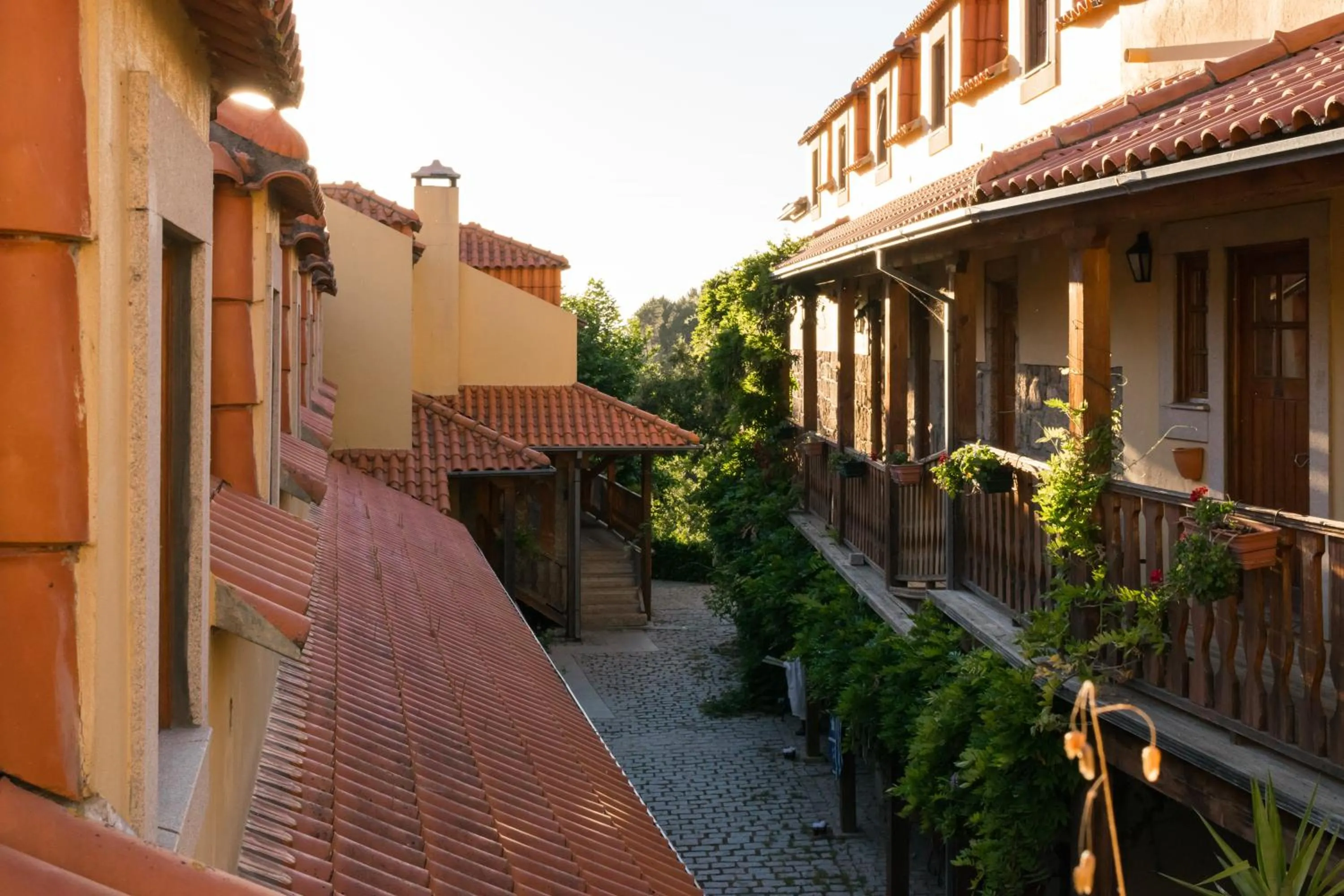 Balcony/Terrace in Quinta Do Crestelo Aparthotel