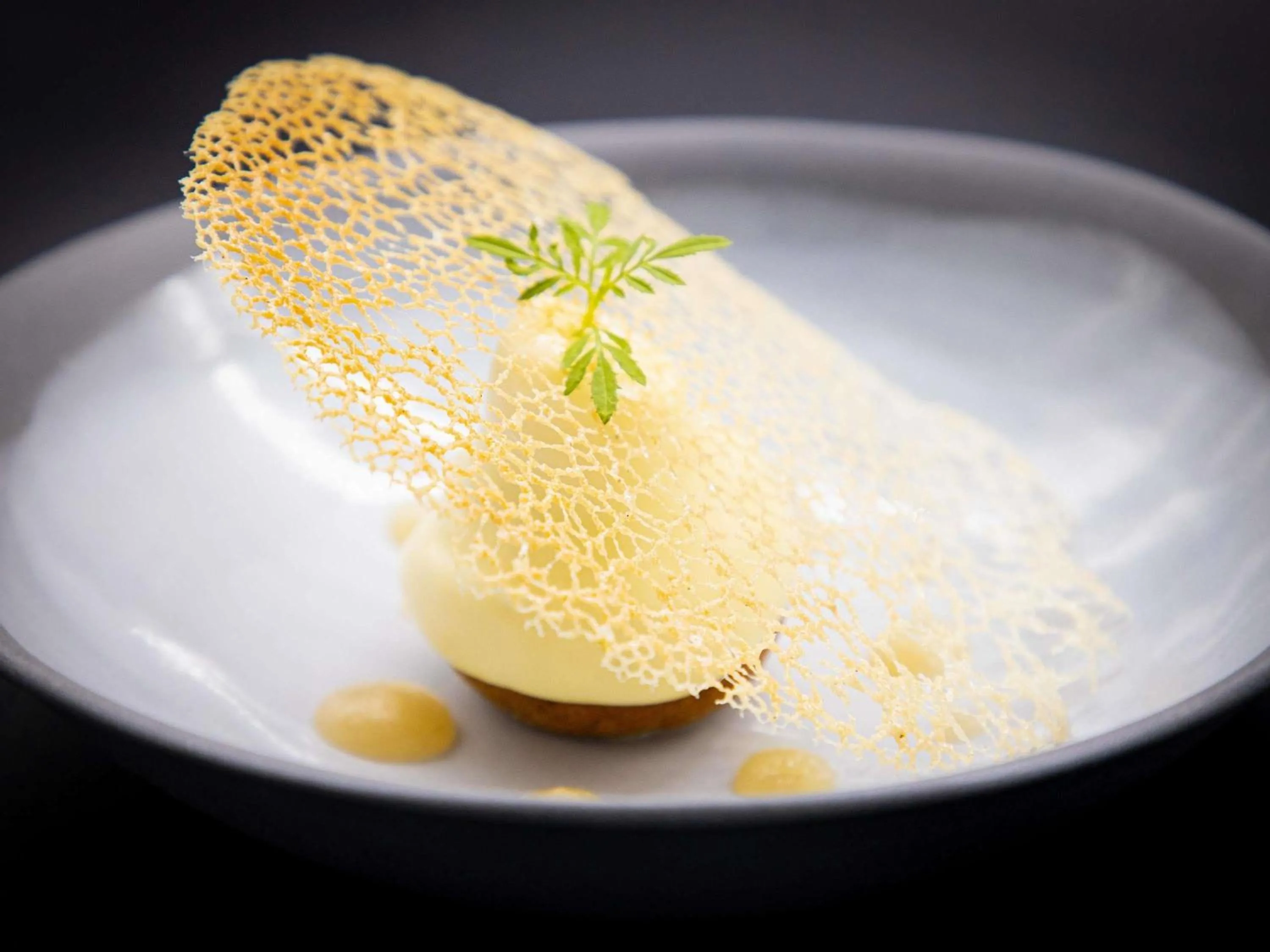 Restaurant/places to eat in Hôtel Mercure Rochefort La Corderie Royale