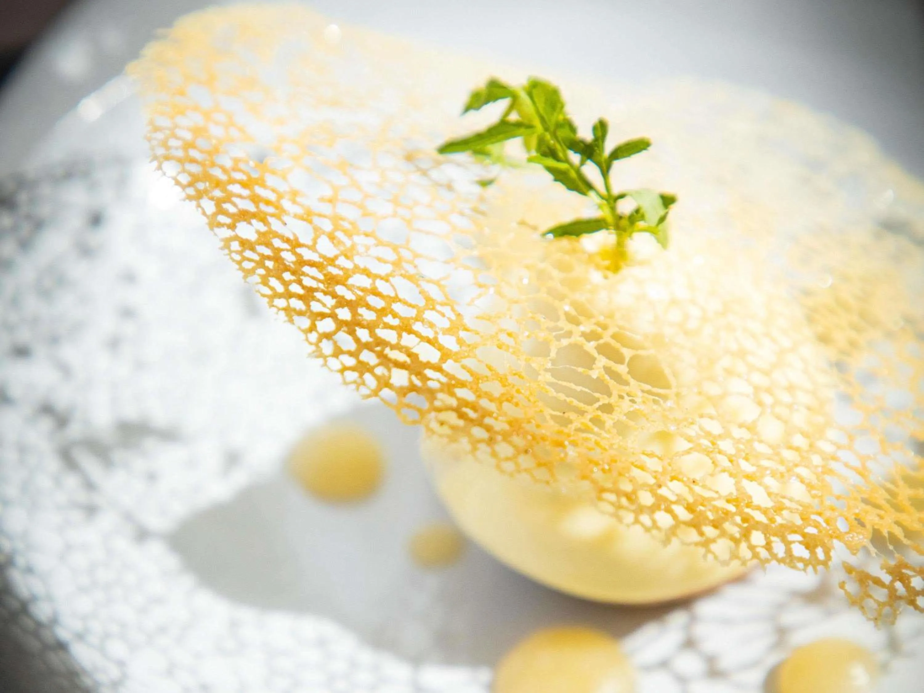 Restaurant/places to eat in Hôtel Mercure Rochefort La Corderie Royale