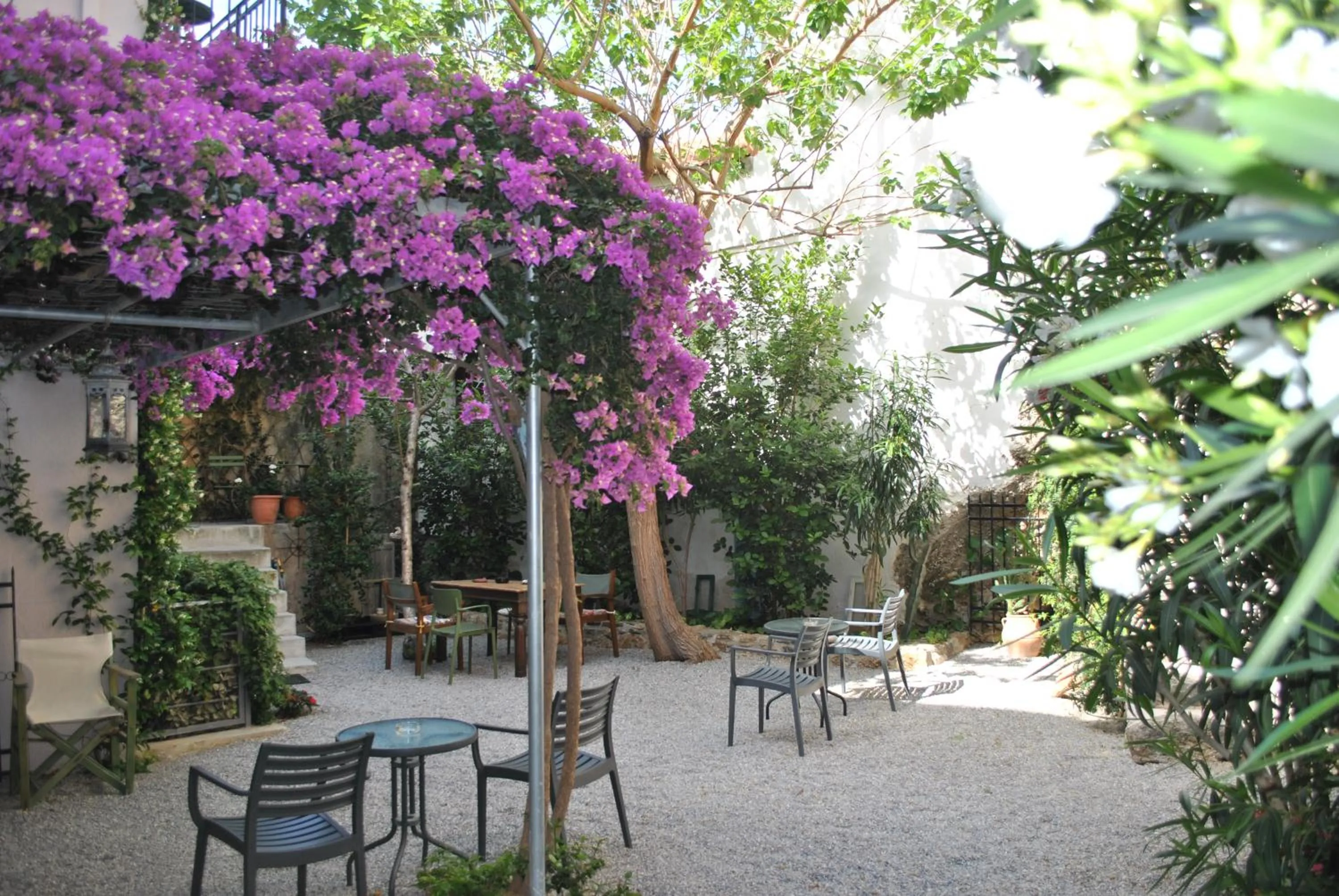 Garden in Sofia's Lovely Rooms