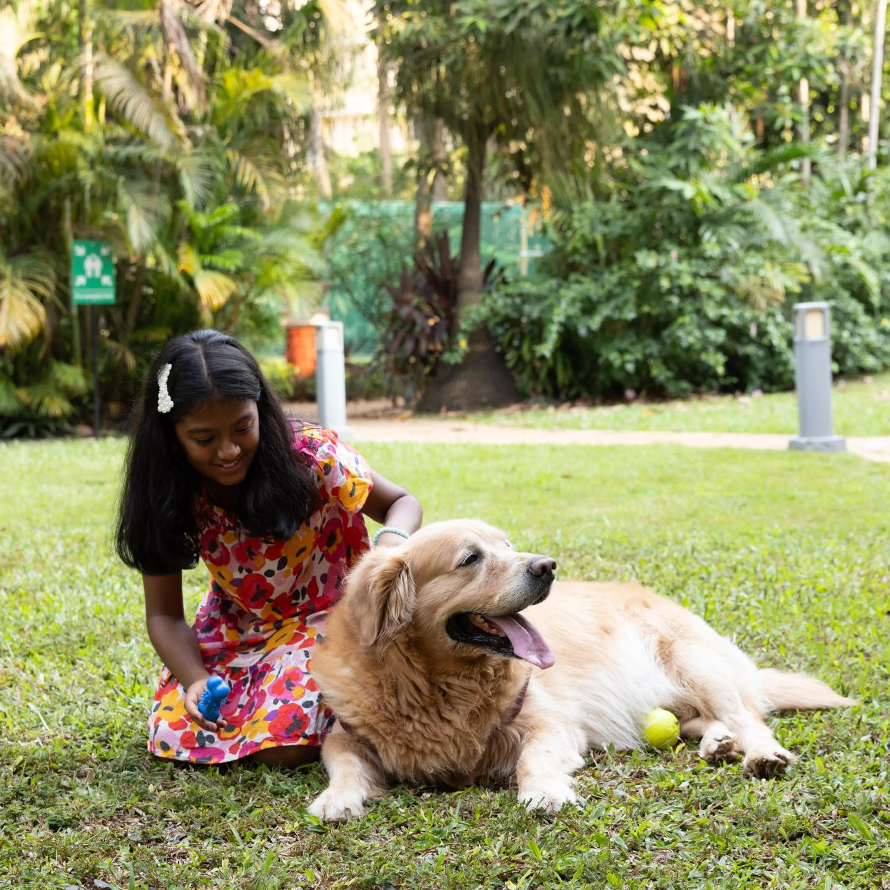 Day in Goa Marriott Resort & Spa