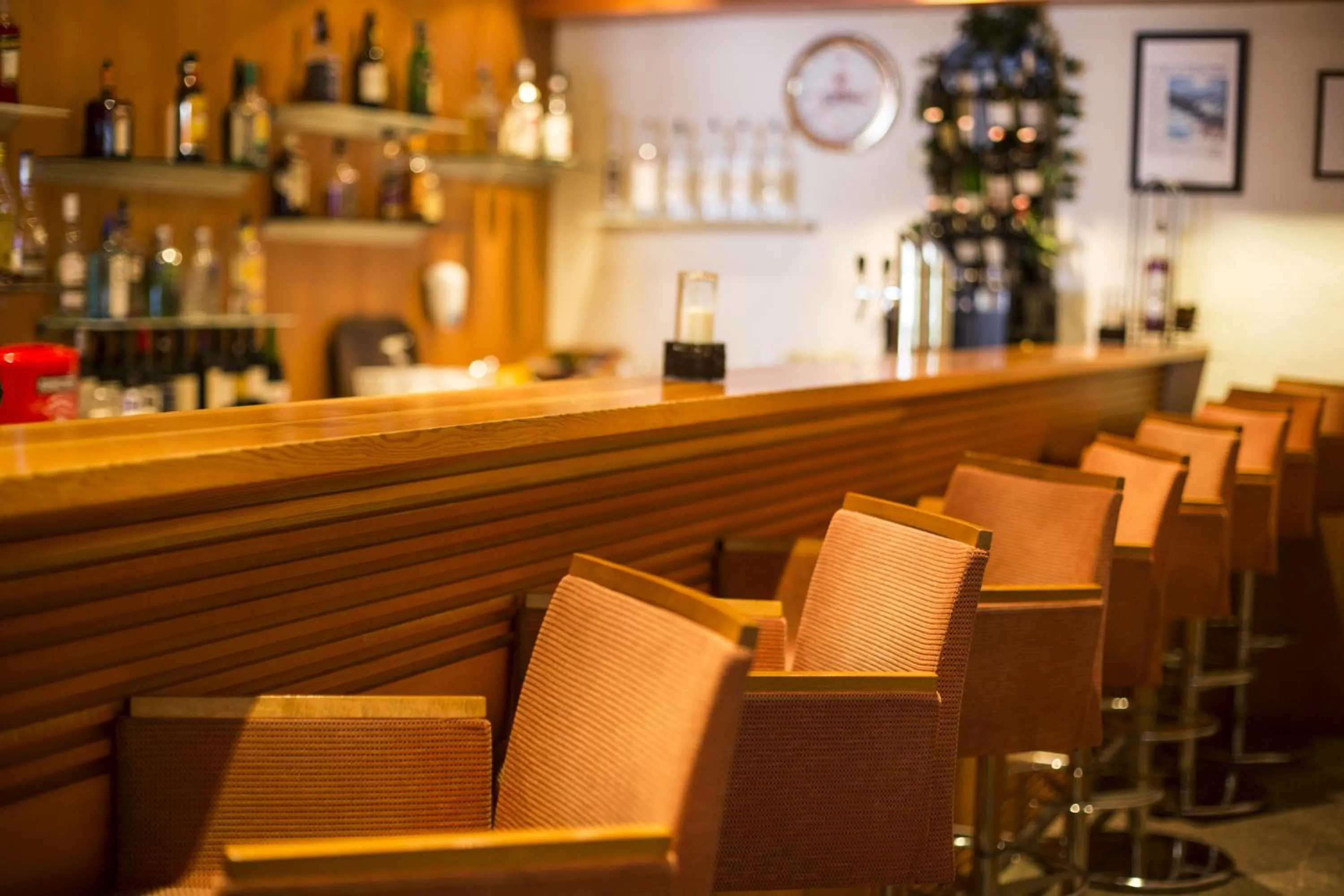 Lounge or bar in all inclusive Hotel Lohmann