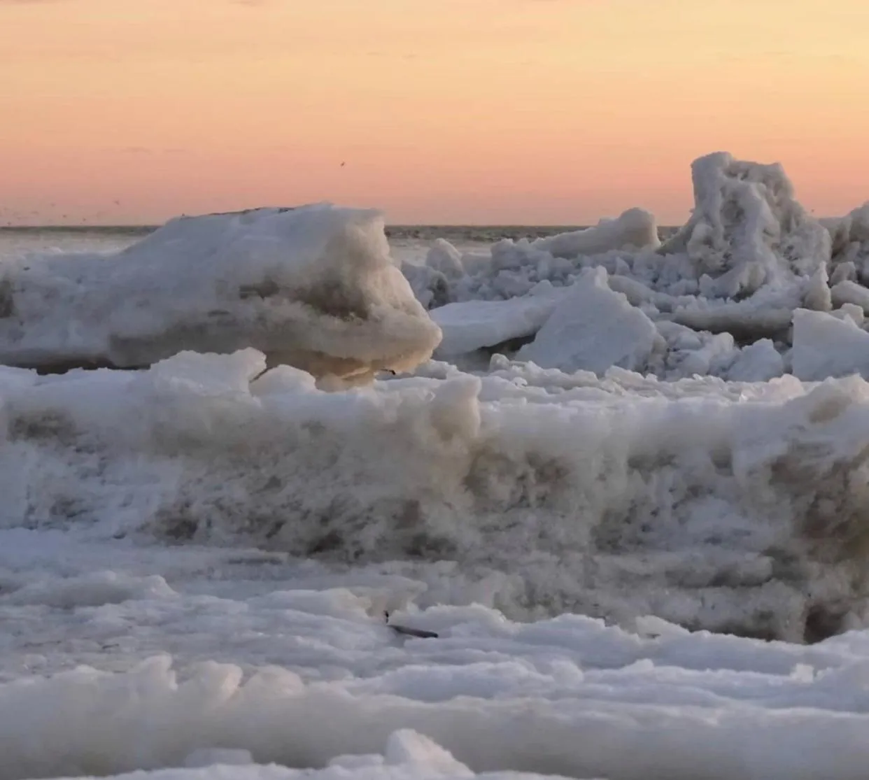 Hotel Havenzicht Texel