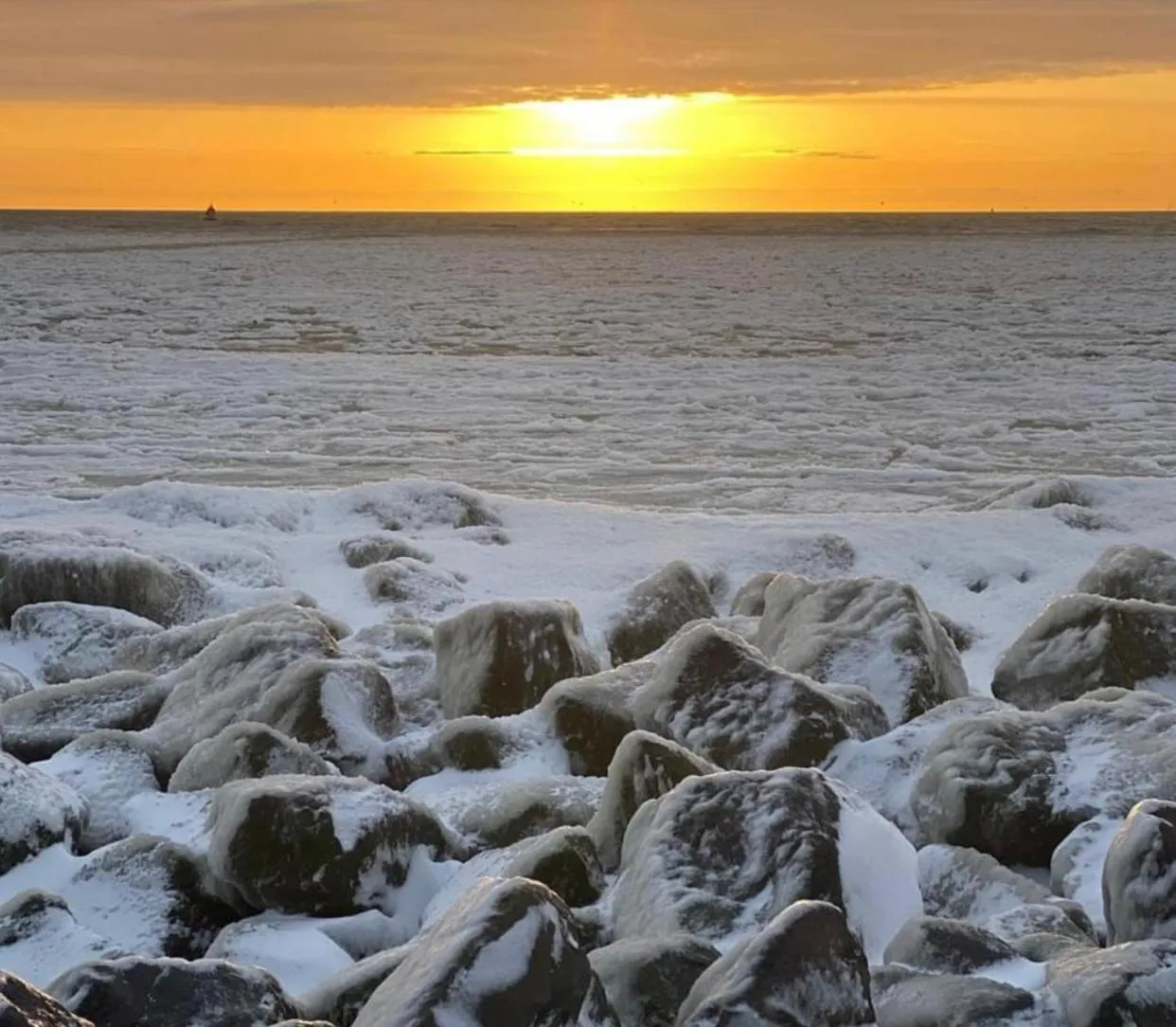 Hotel Havenzicht Texel
