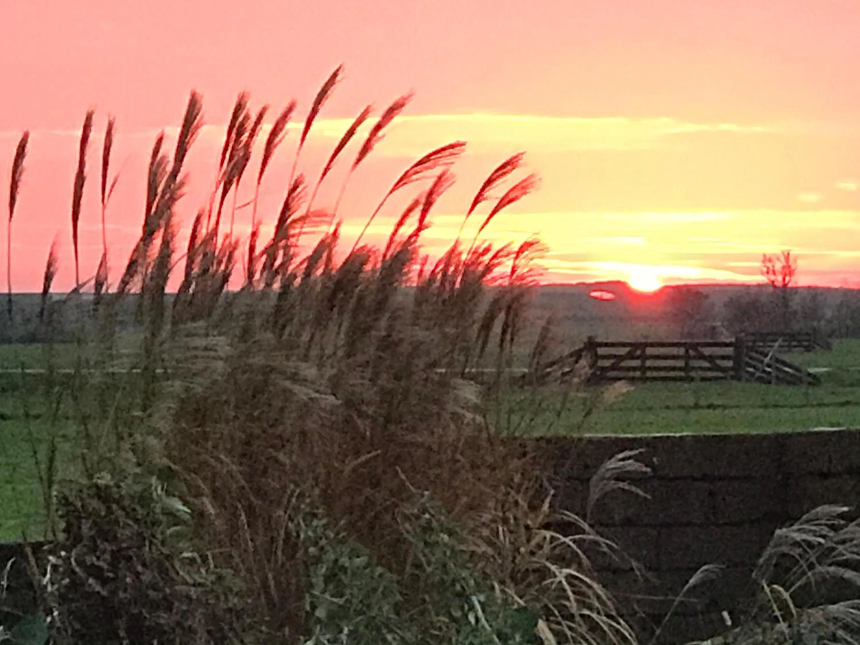 Hotel Havenzicht Texel