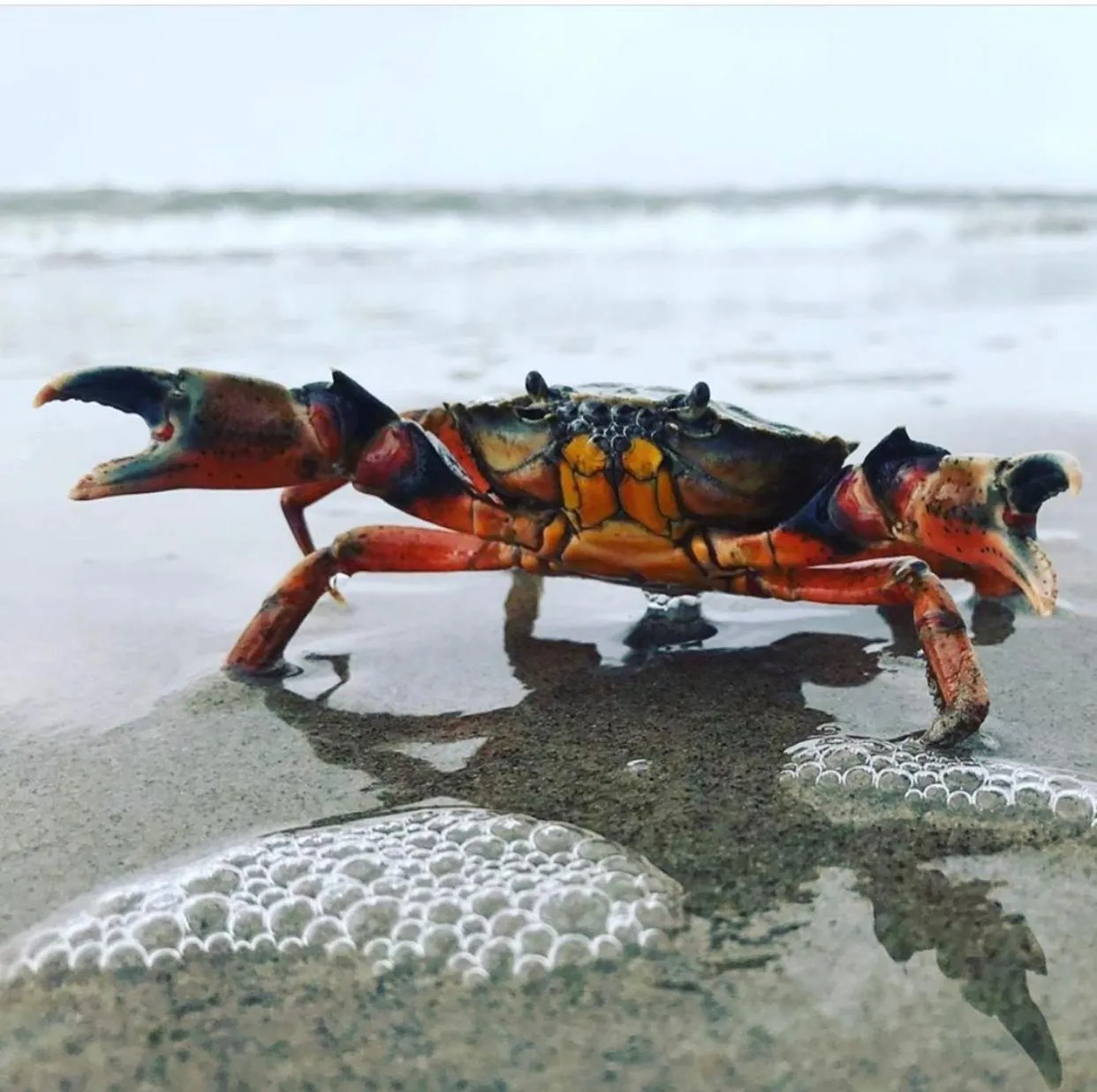 Hotel Havenzicht Texel