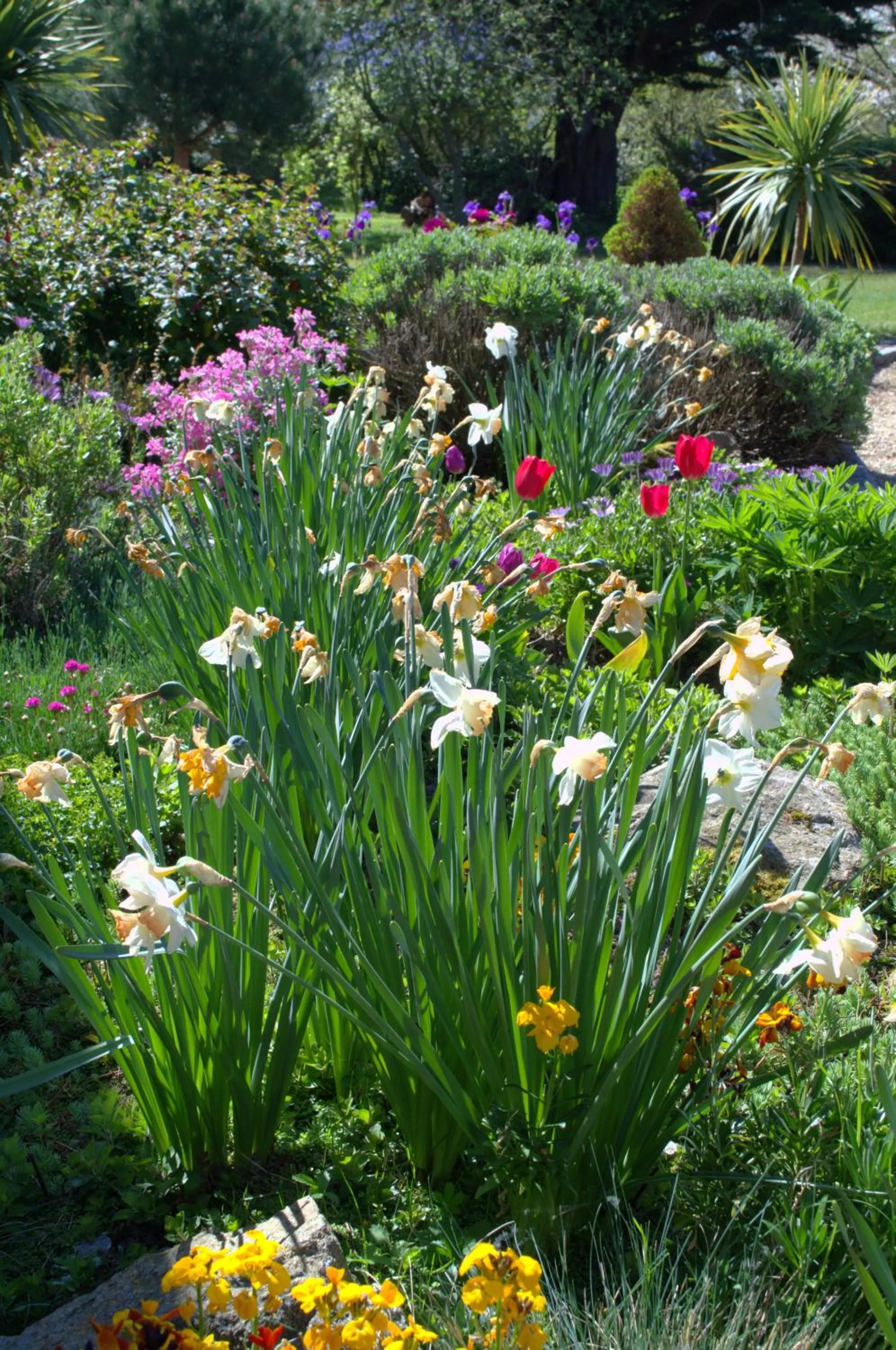 Garden in Le Tertre Gatinais