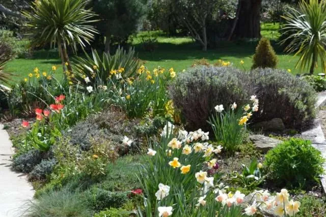 View (from property/room) in Le Tertre Gatinais