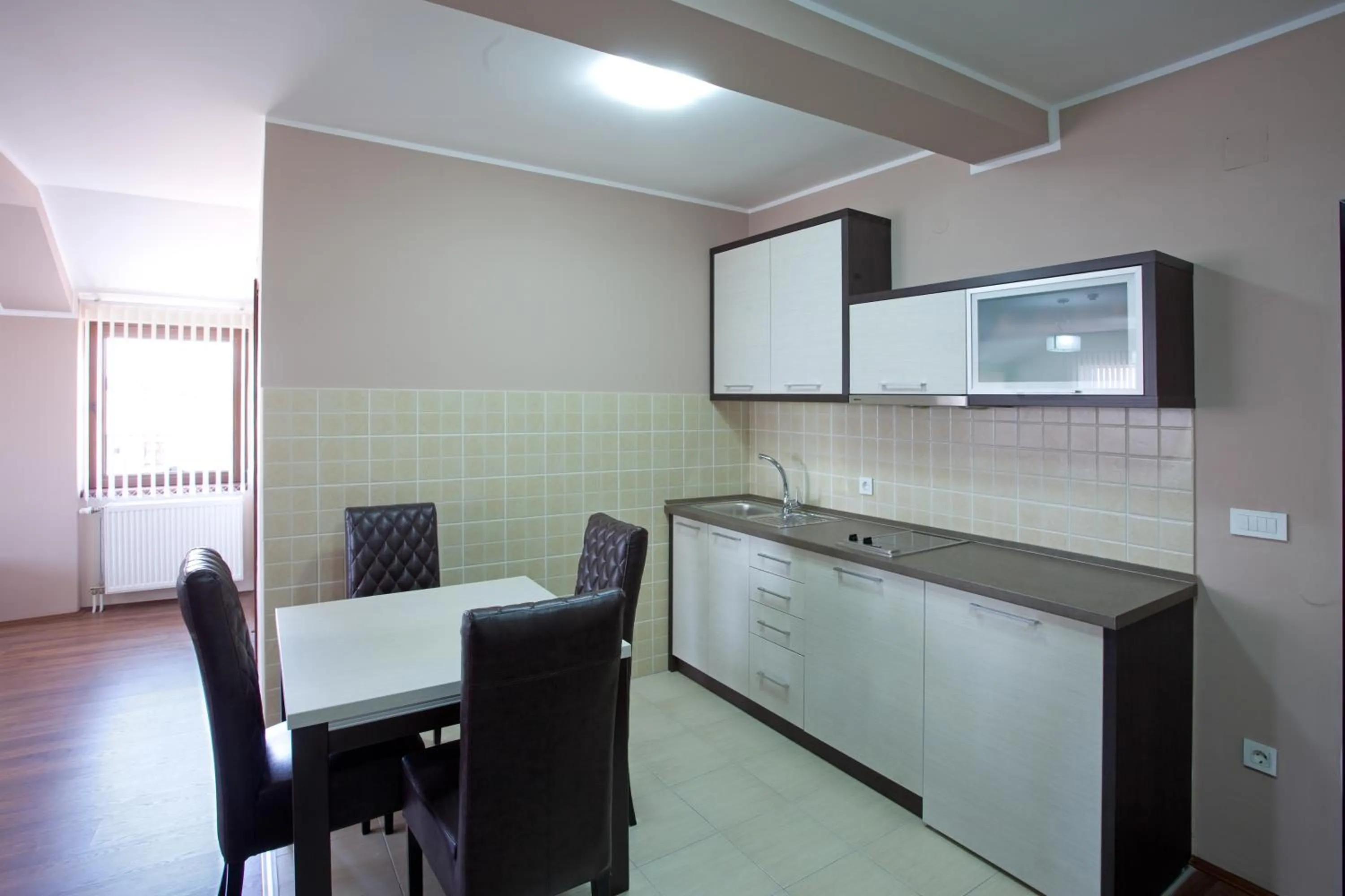 Kitchen or kitchenette in Guesthouse Vitez