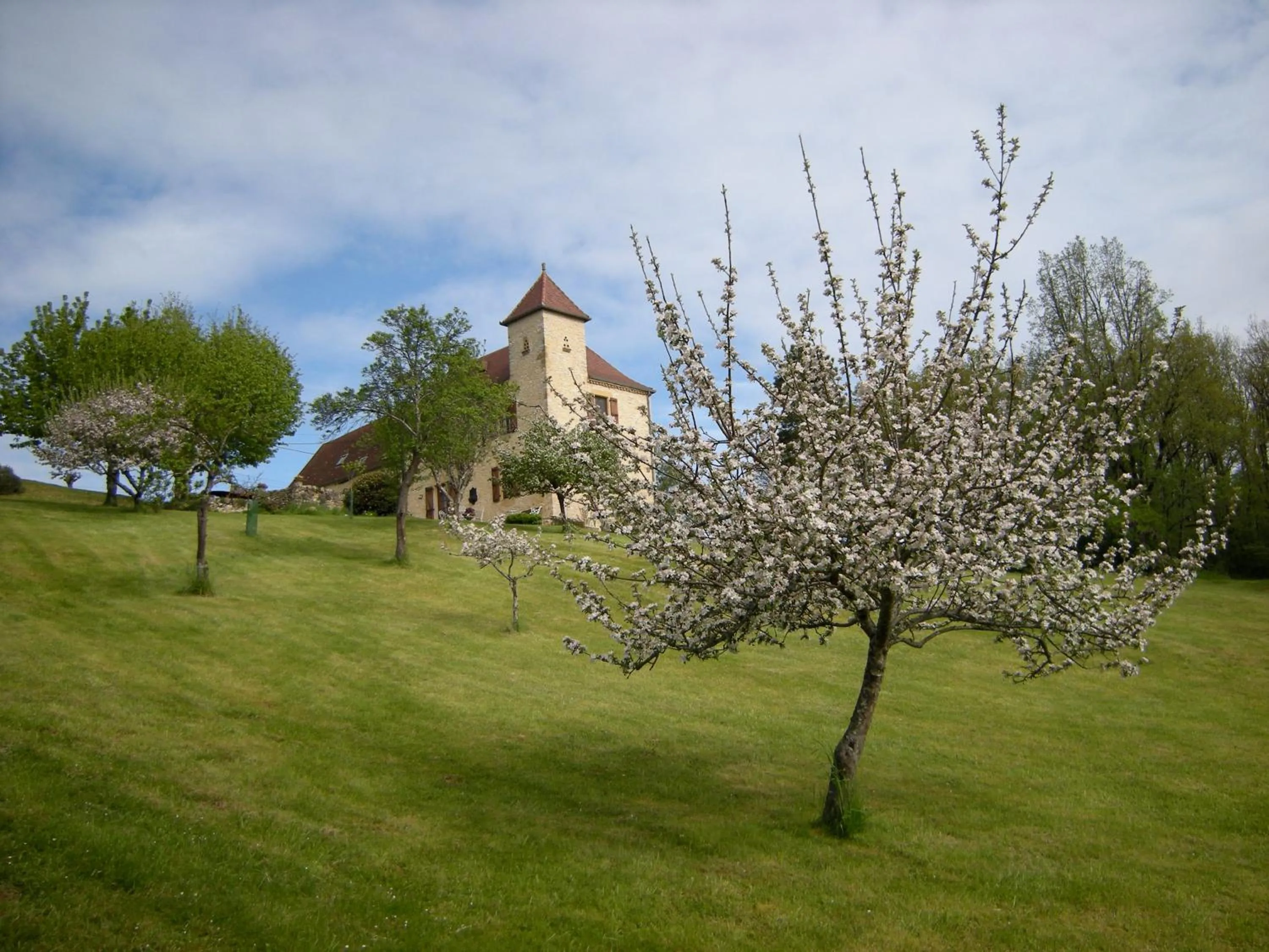 Garden in La Métairie des Songes