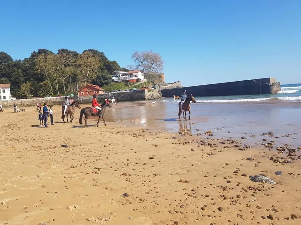 Agua Viva Eco H Wellness Castro Urdiales