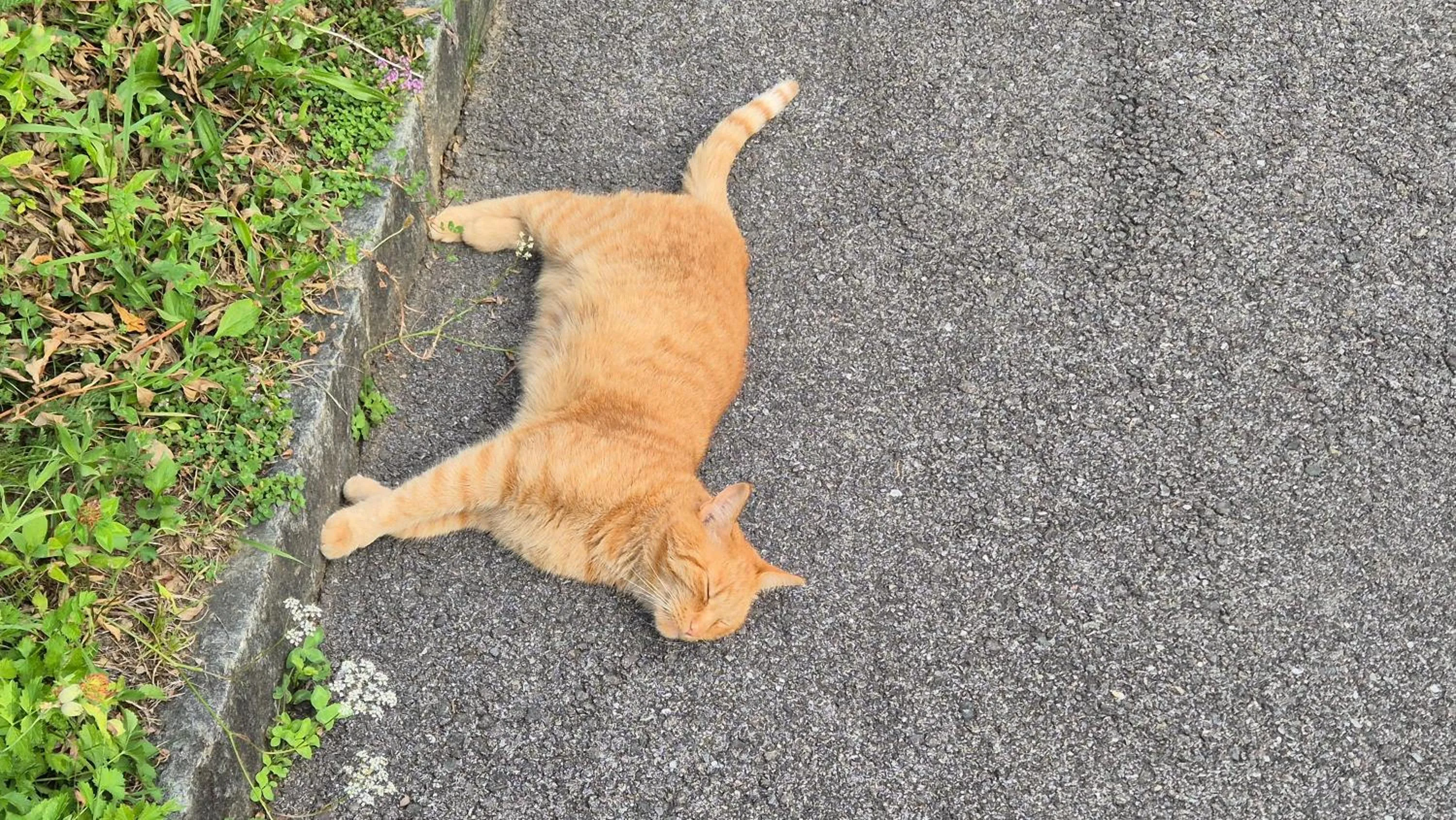 Haus Kraller-Urlaub mit Seeblick