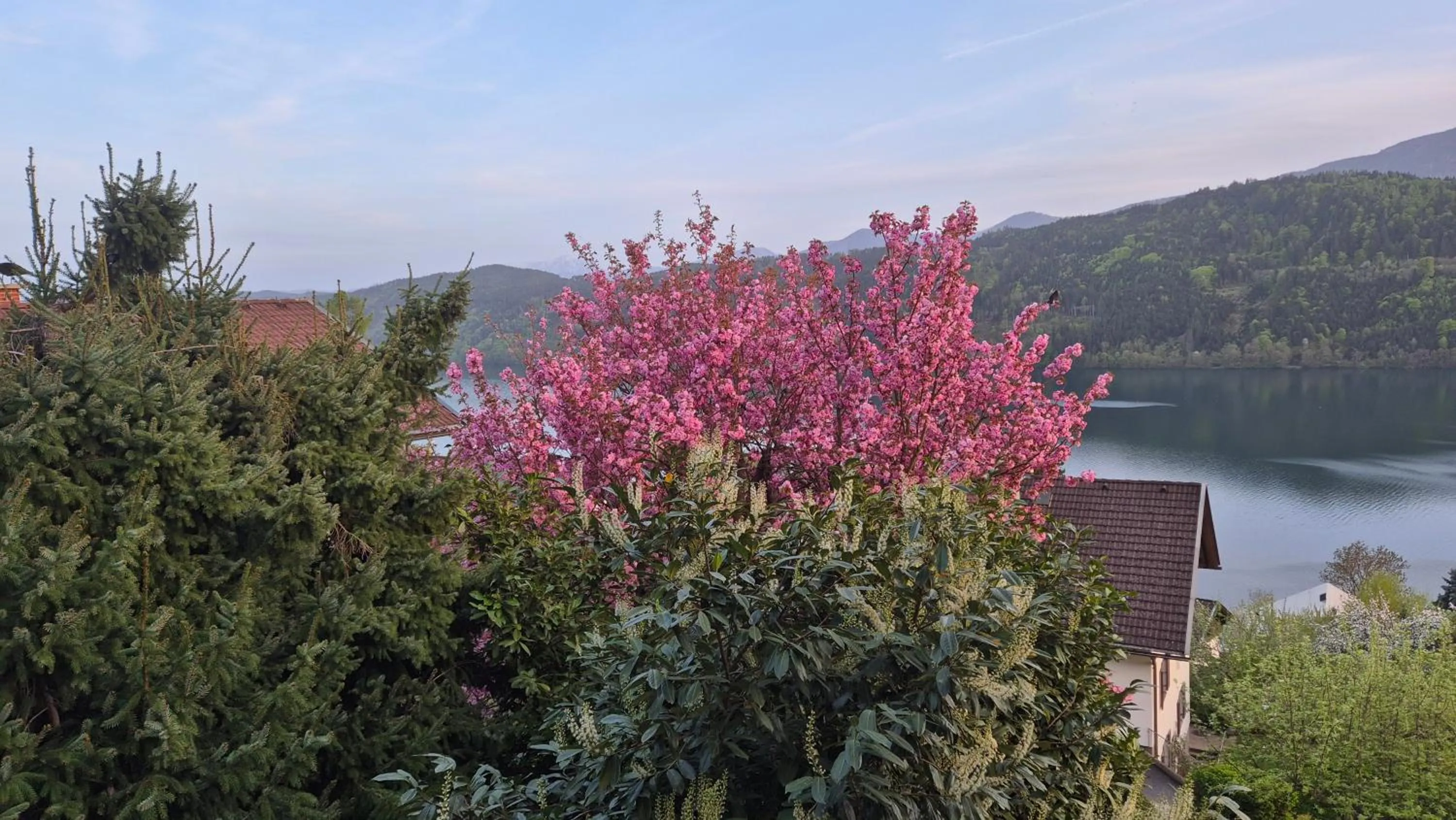 Haus Kraller-Urlaub mit Seeblick