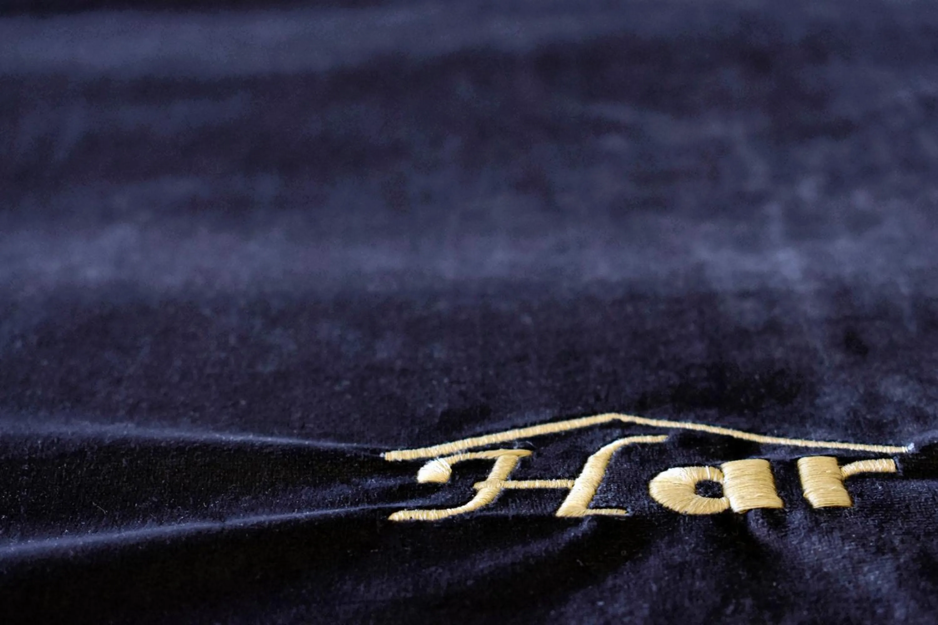 Property logo or sign in Hotel Armiñe