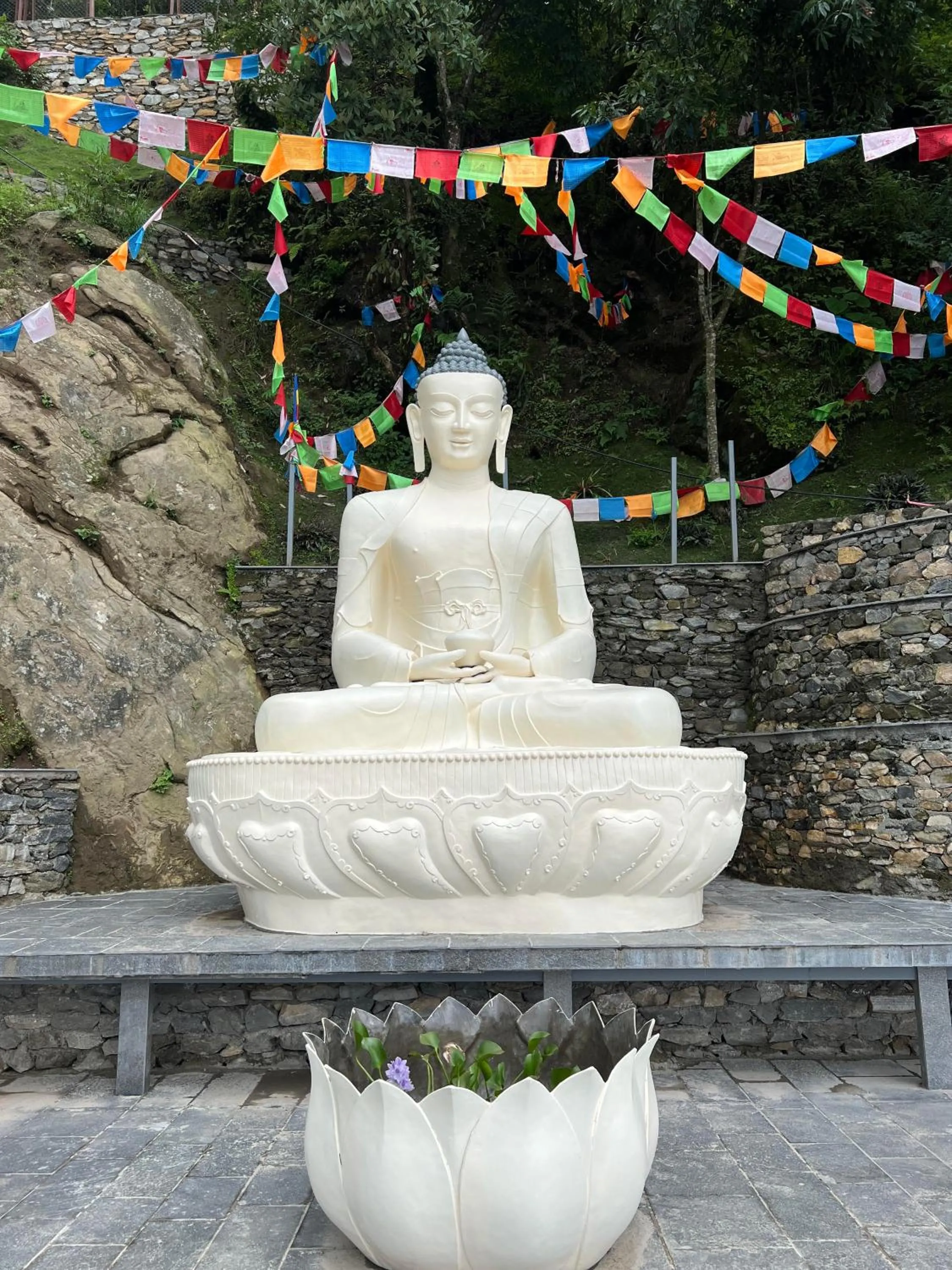 Natural landscape in Hotel Mystic Mountain