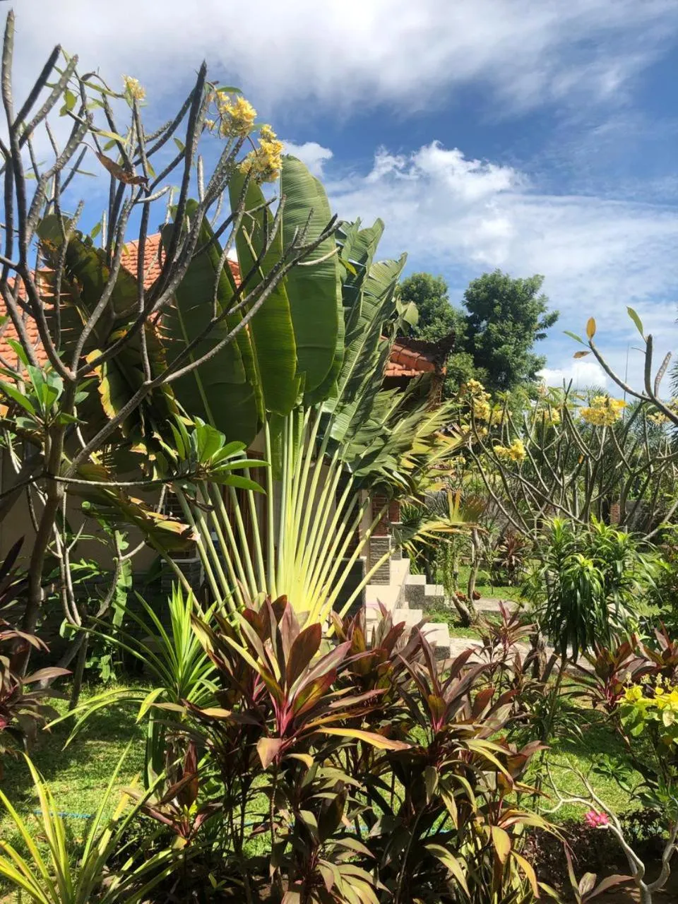 TEGAL SARI, Pemuteran- North Bali