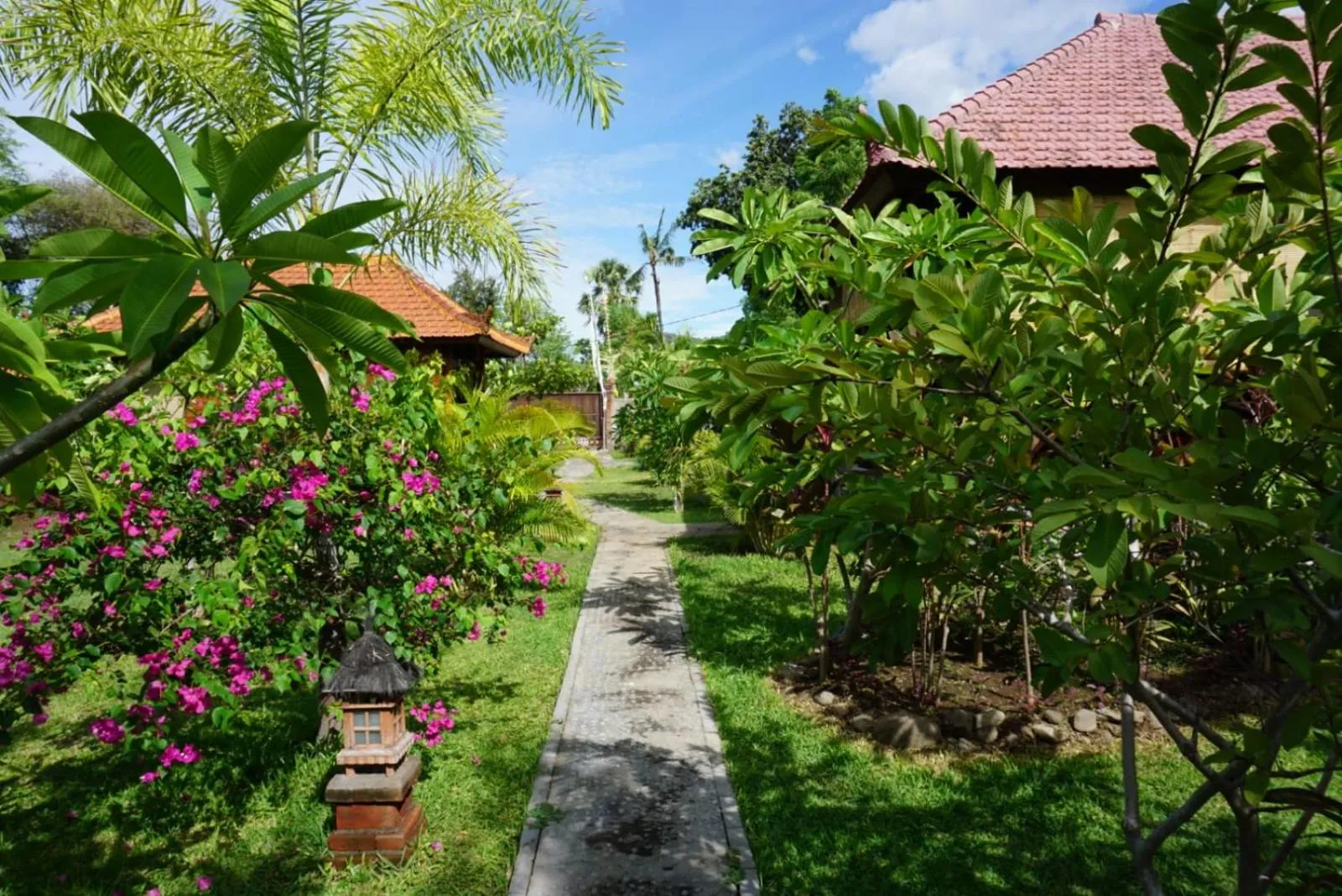 Garden in TEGAL SARI, Pemuteran- North Bali