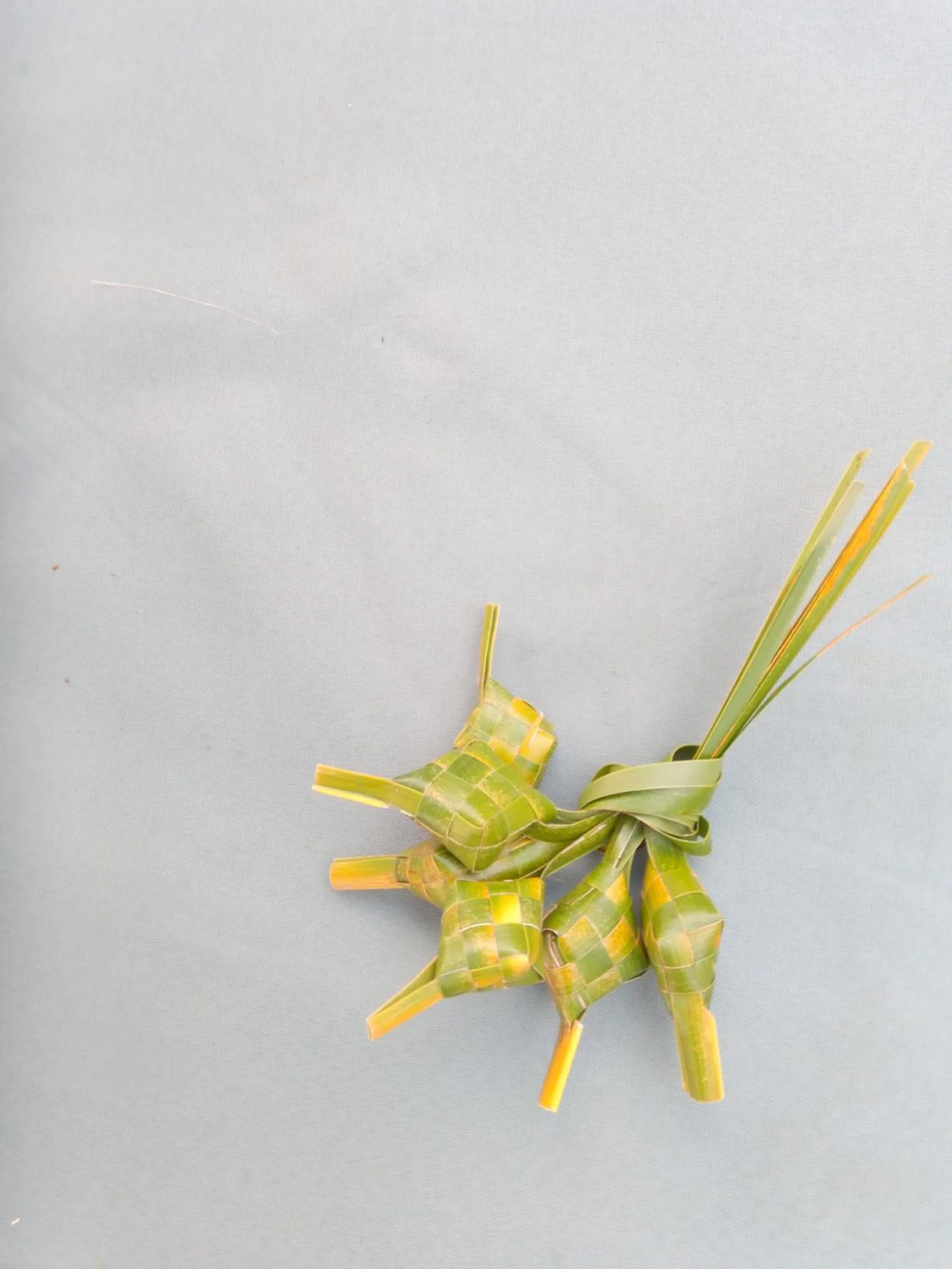 Other in TEGAL SARI, Pemuteran- North Bali