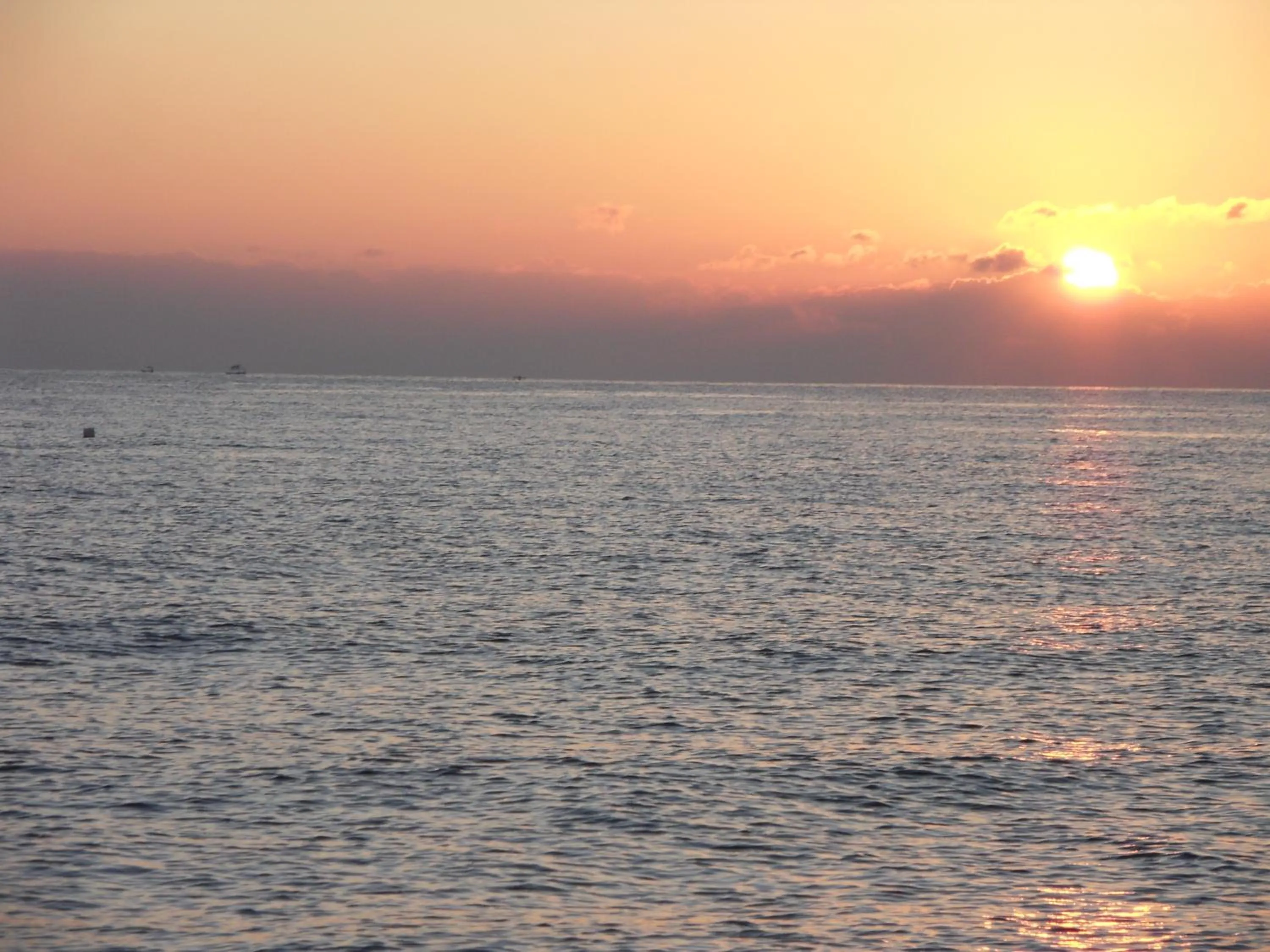 Area and facilities in TEGAL SARI, Pemuteran- North Bali