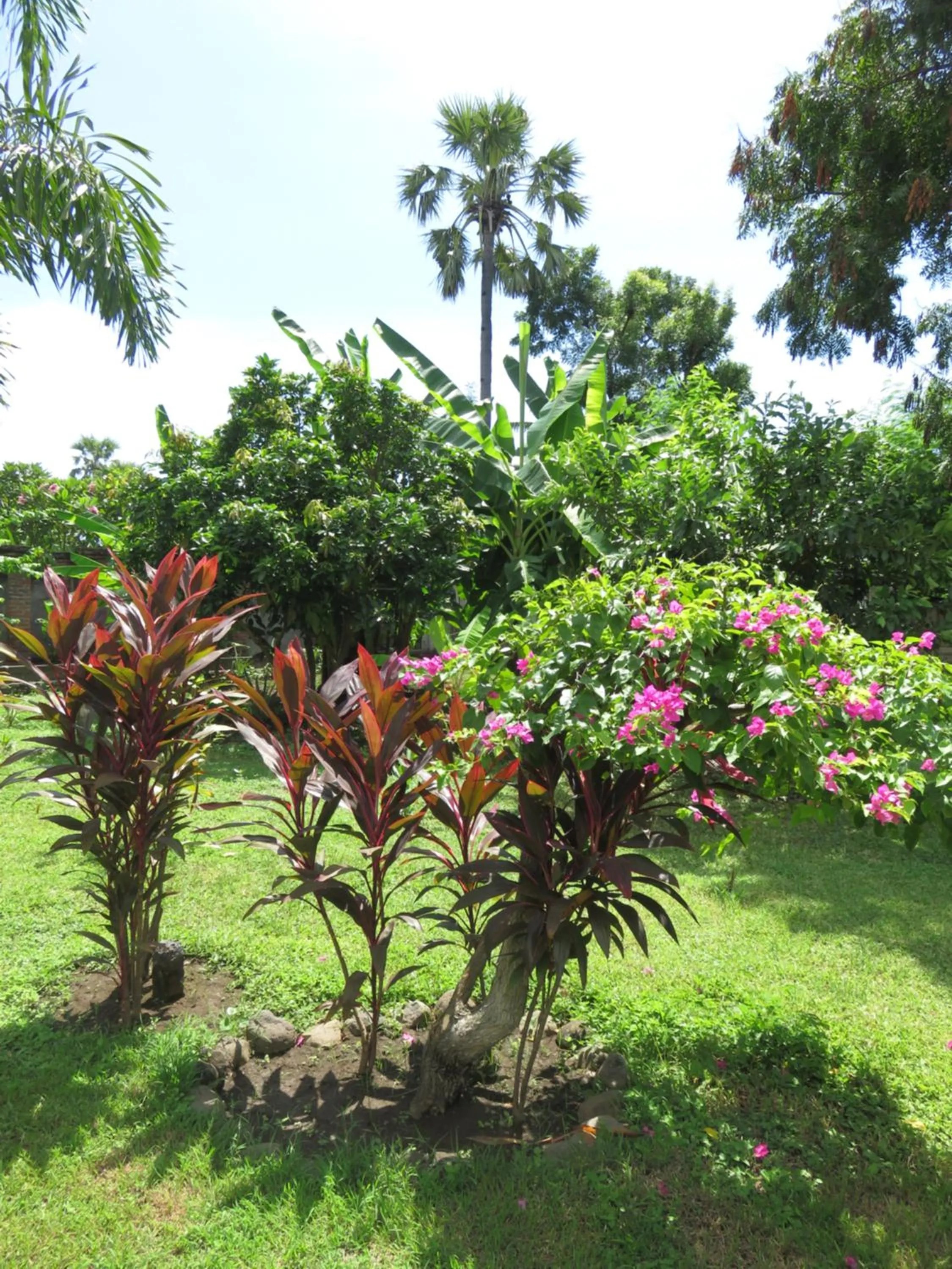 Garden in TEGAL SARI, Pemuteran- North Bali