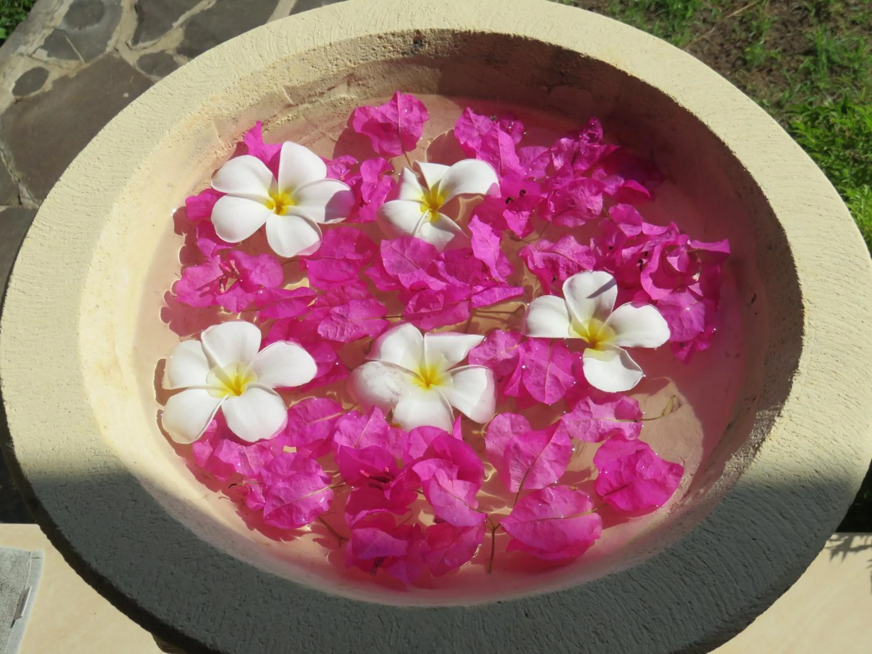 View (from property/room) in TEGAL SARI, Pemuteran- North Bali