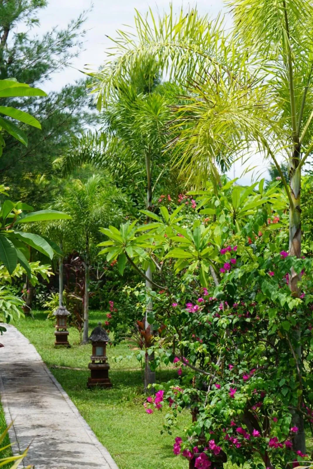 Garden in TEGAL SARI, Pemuteran- North Bali