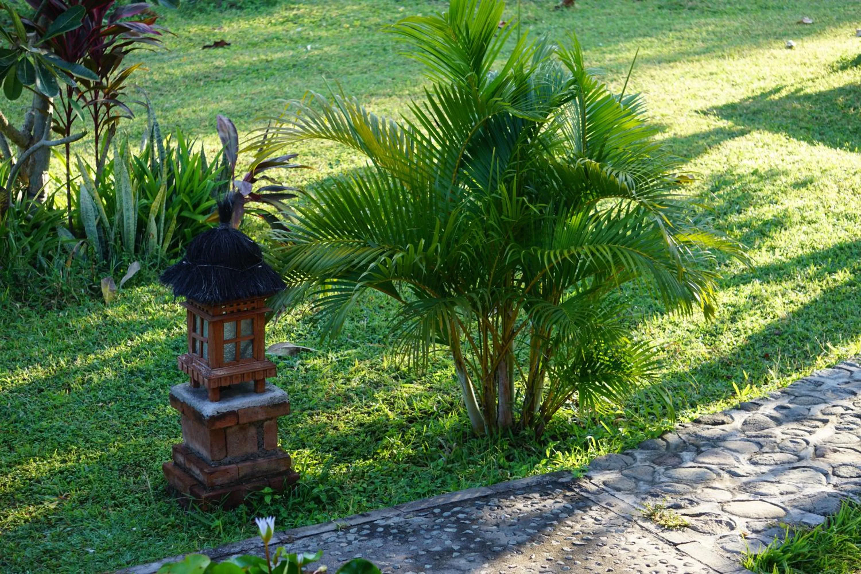 Garden in TEGAL SARI, Pemuteran- North Bali