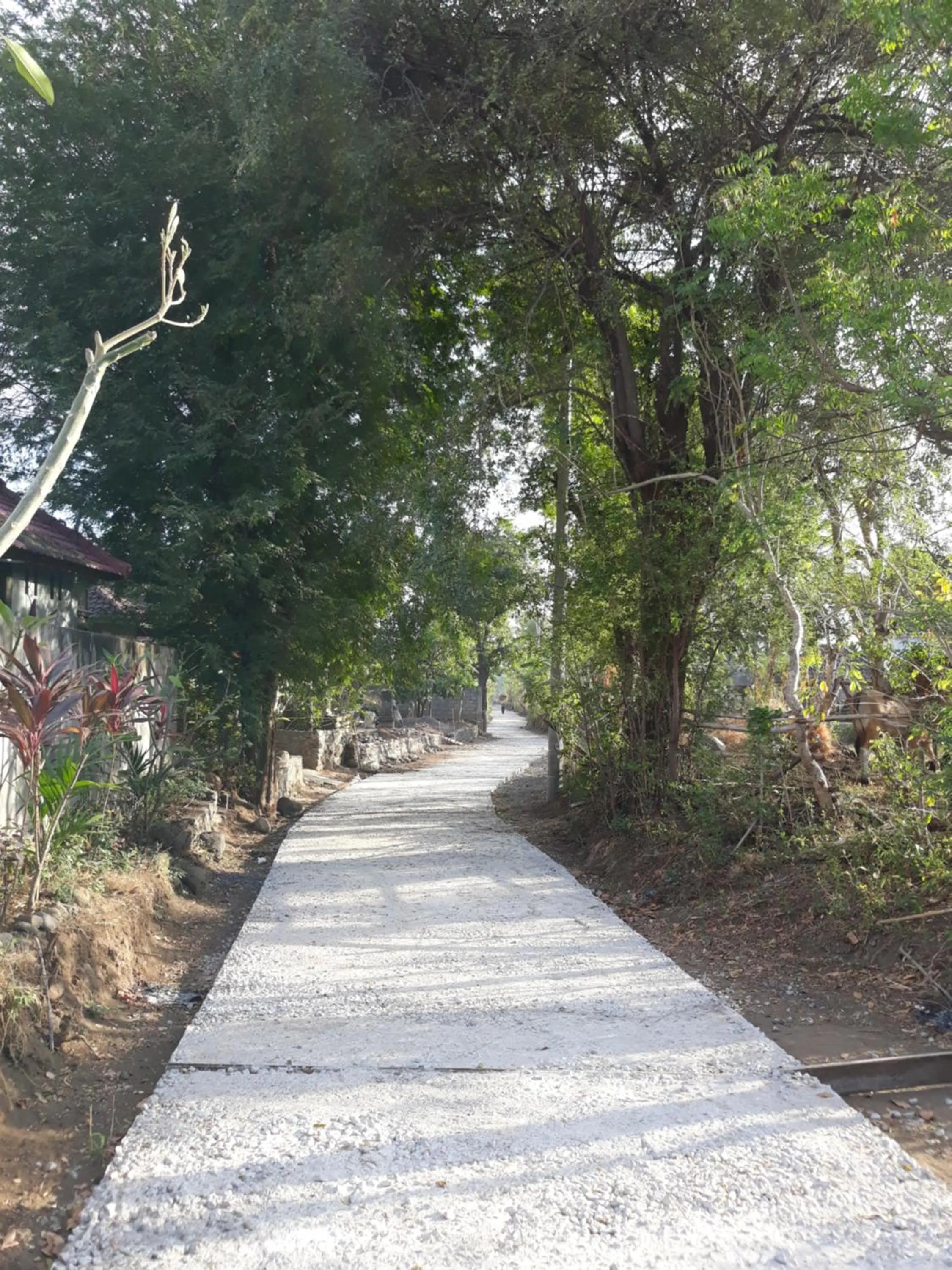 Neighbourhood in TEGAL SARI, Pemuteran- North Bali