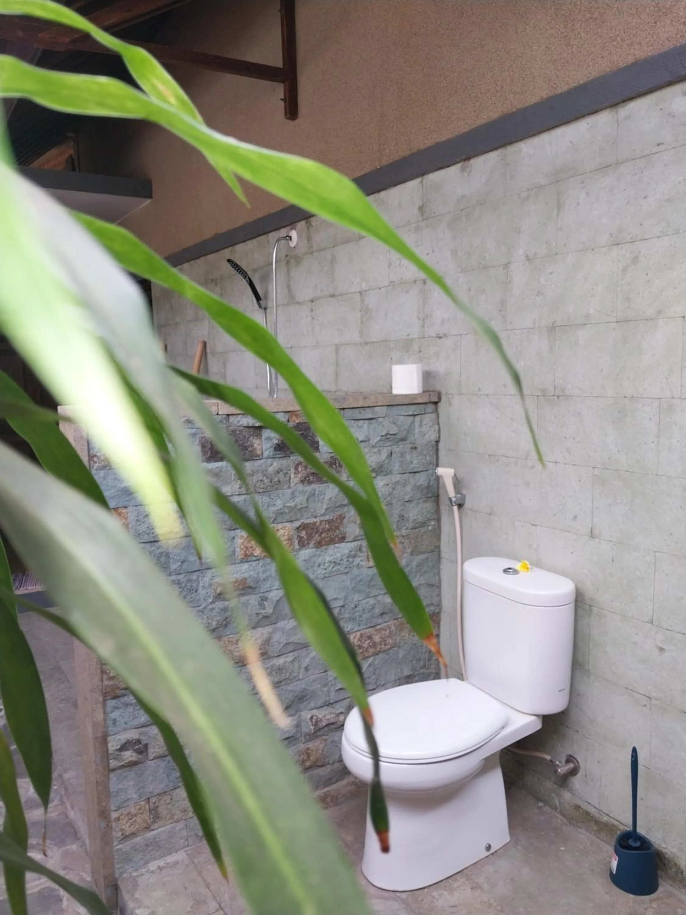 TEGAL SARI, Pemuteran- North Bali