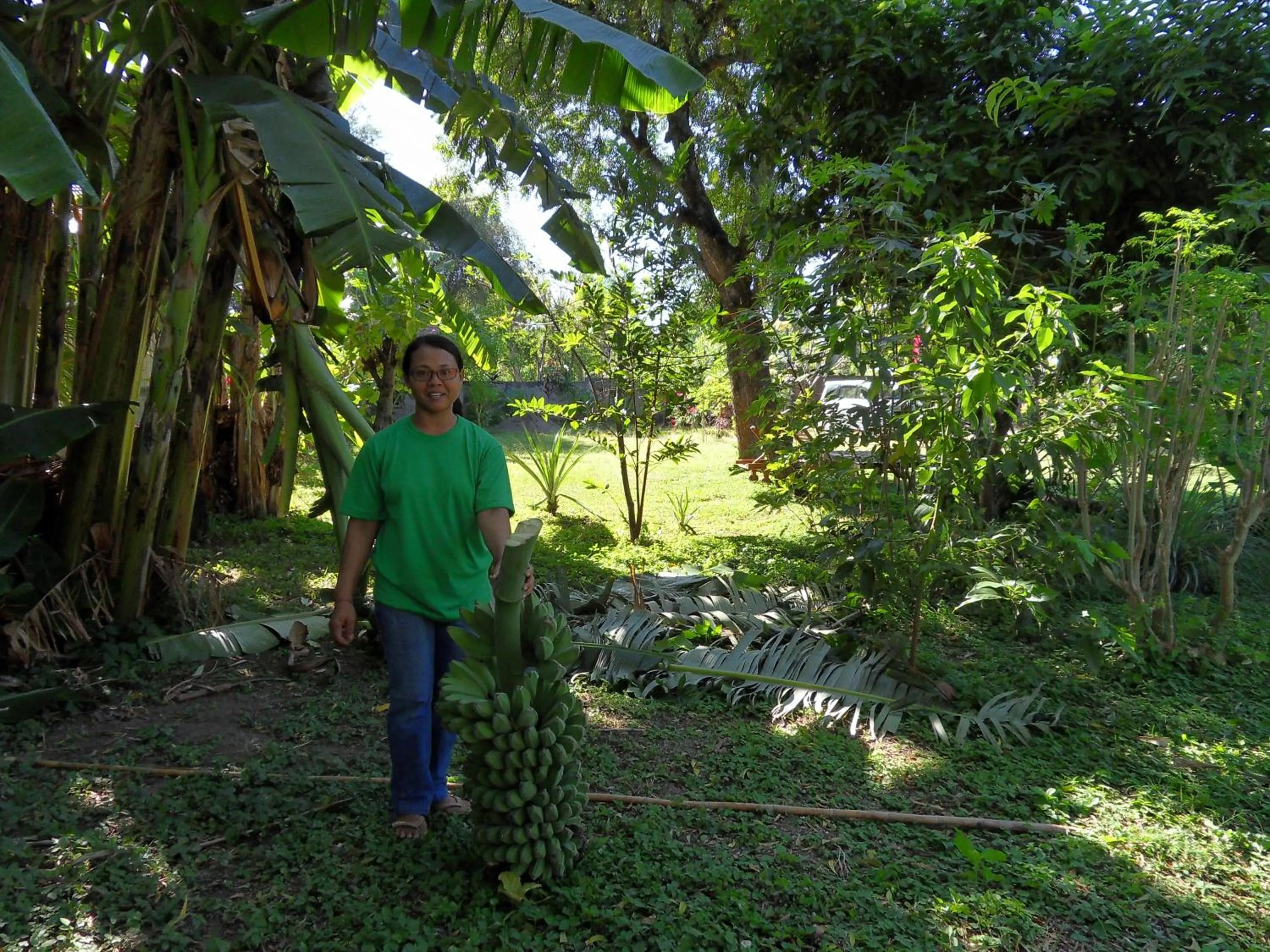 Garden in TEGAL SARI, Pemuteran- North Bali