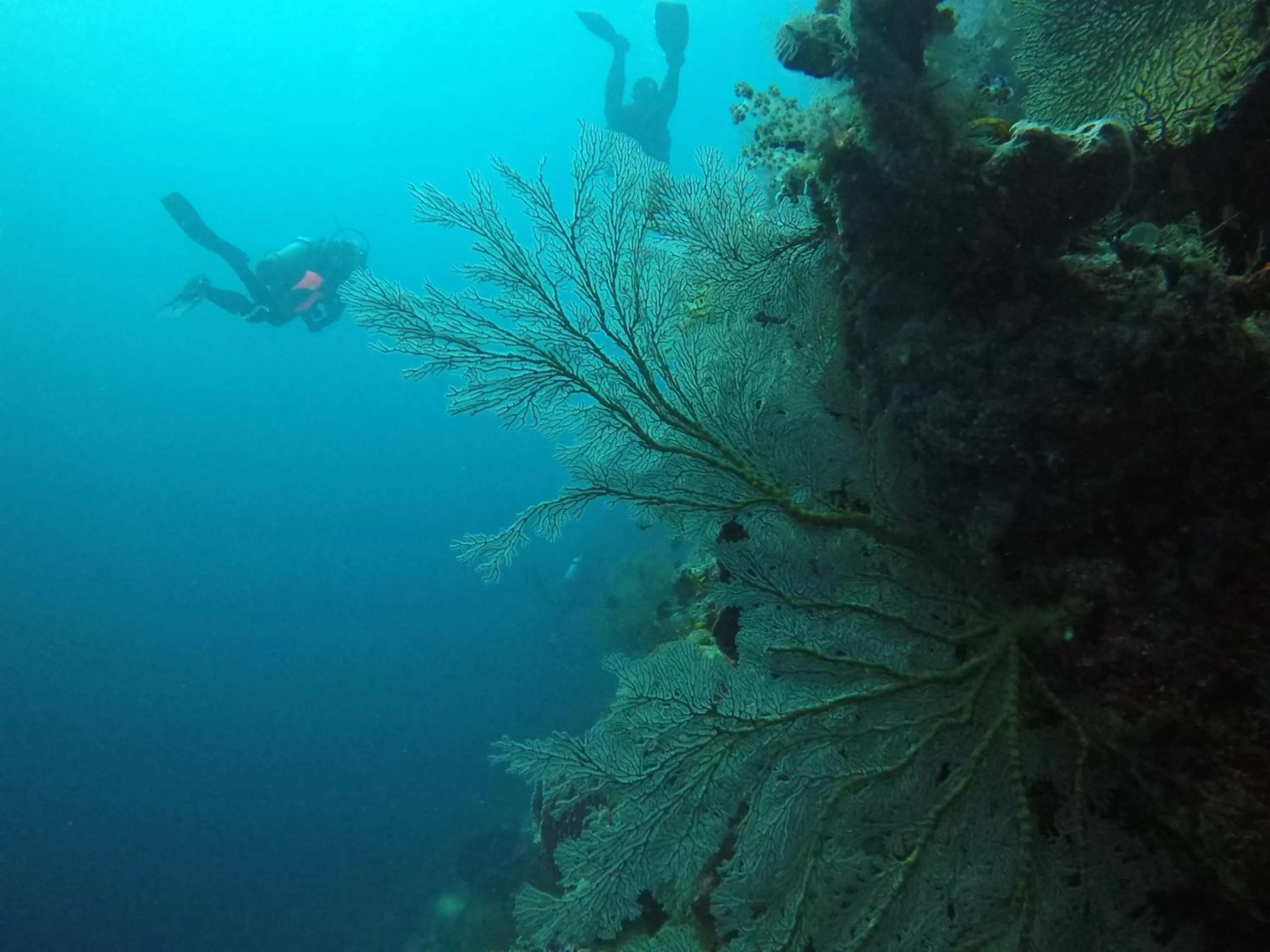 Nearby landmark in TEGAL SARI, Pemuteran- North Bali