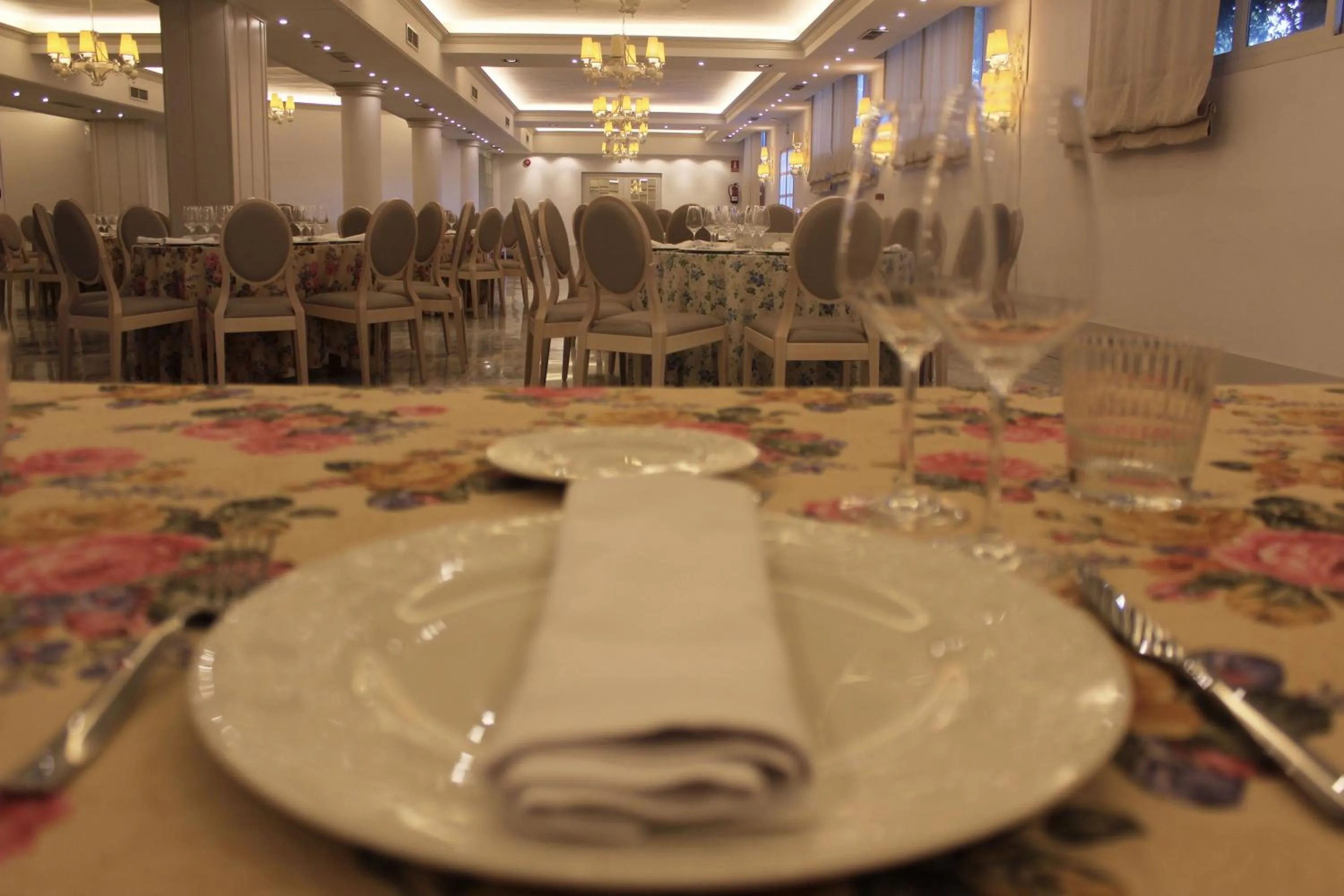 Banquet/Function facilities in Hotel Reyes Ziries