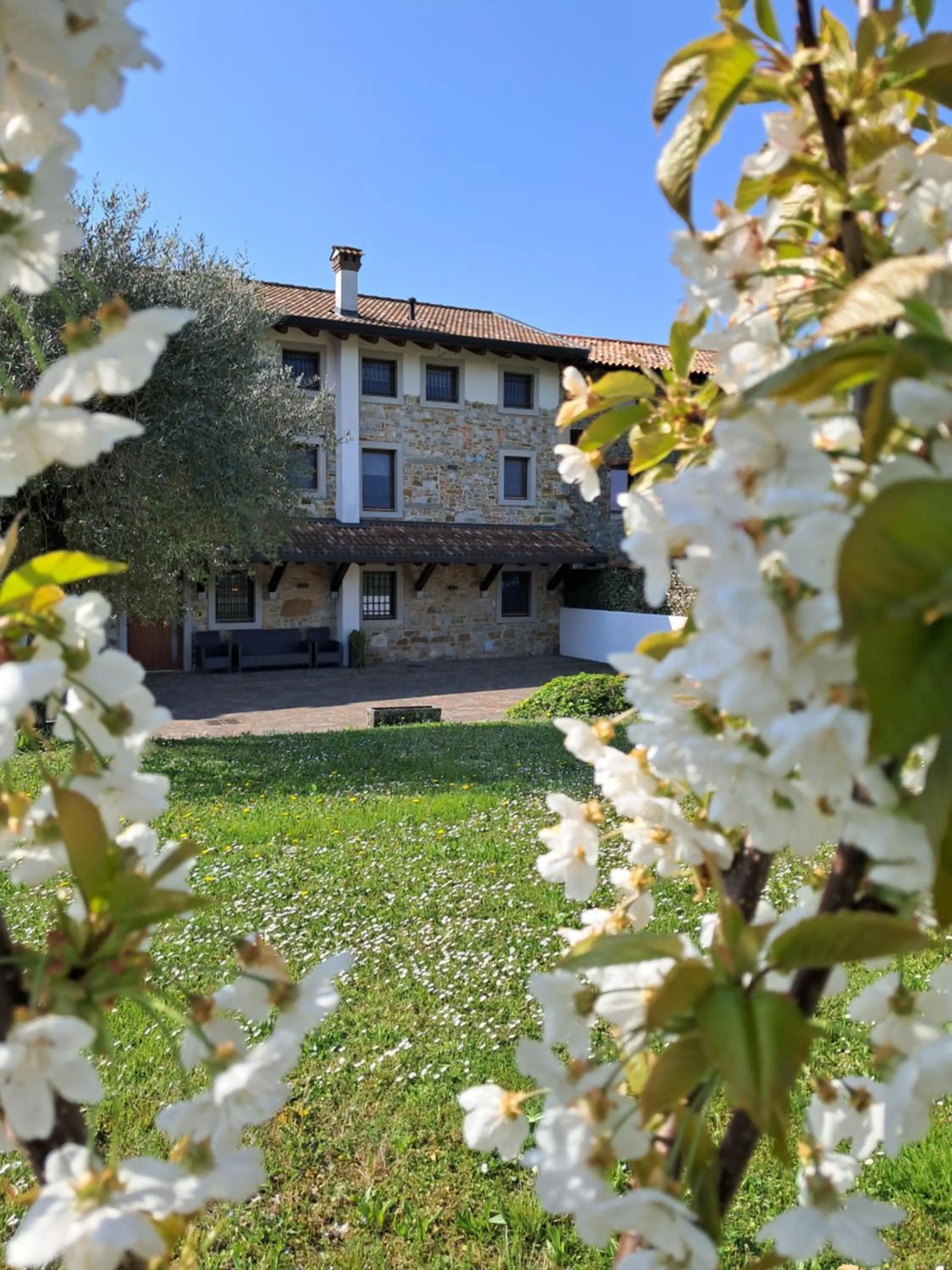 Garden view in b&b Ergira