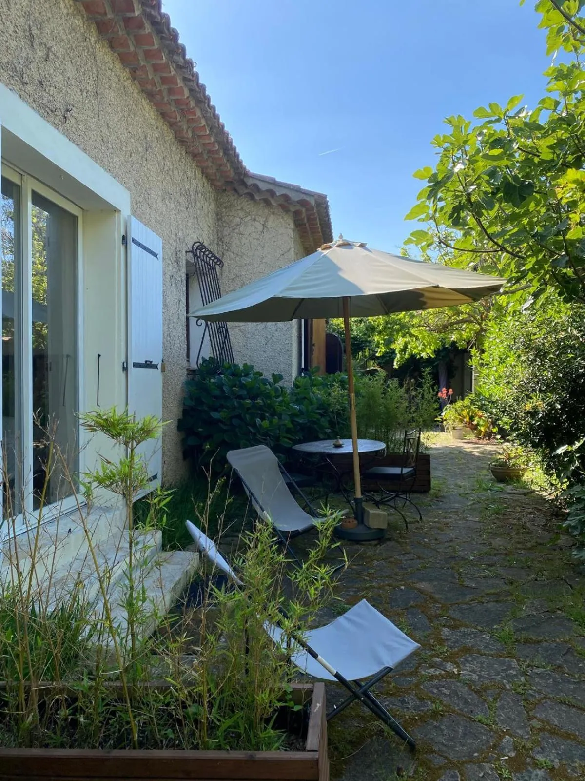 Garden in Villa Roka