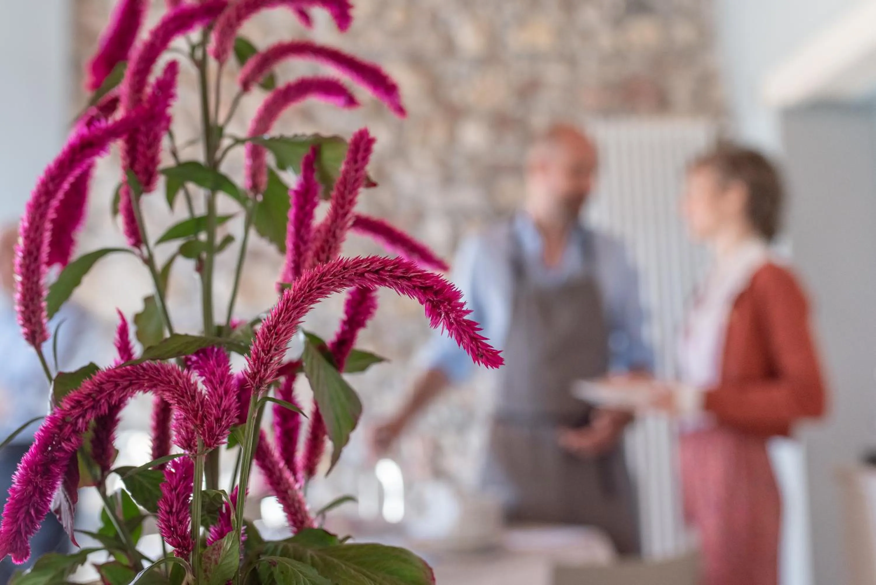 Villa di Cazzano - BioLuxury Living