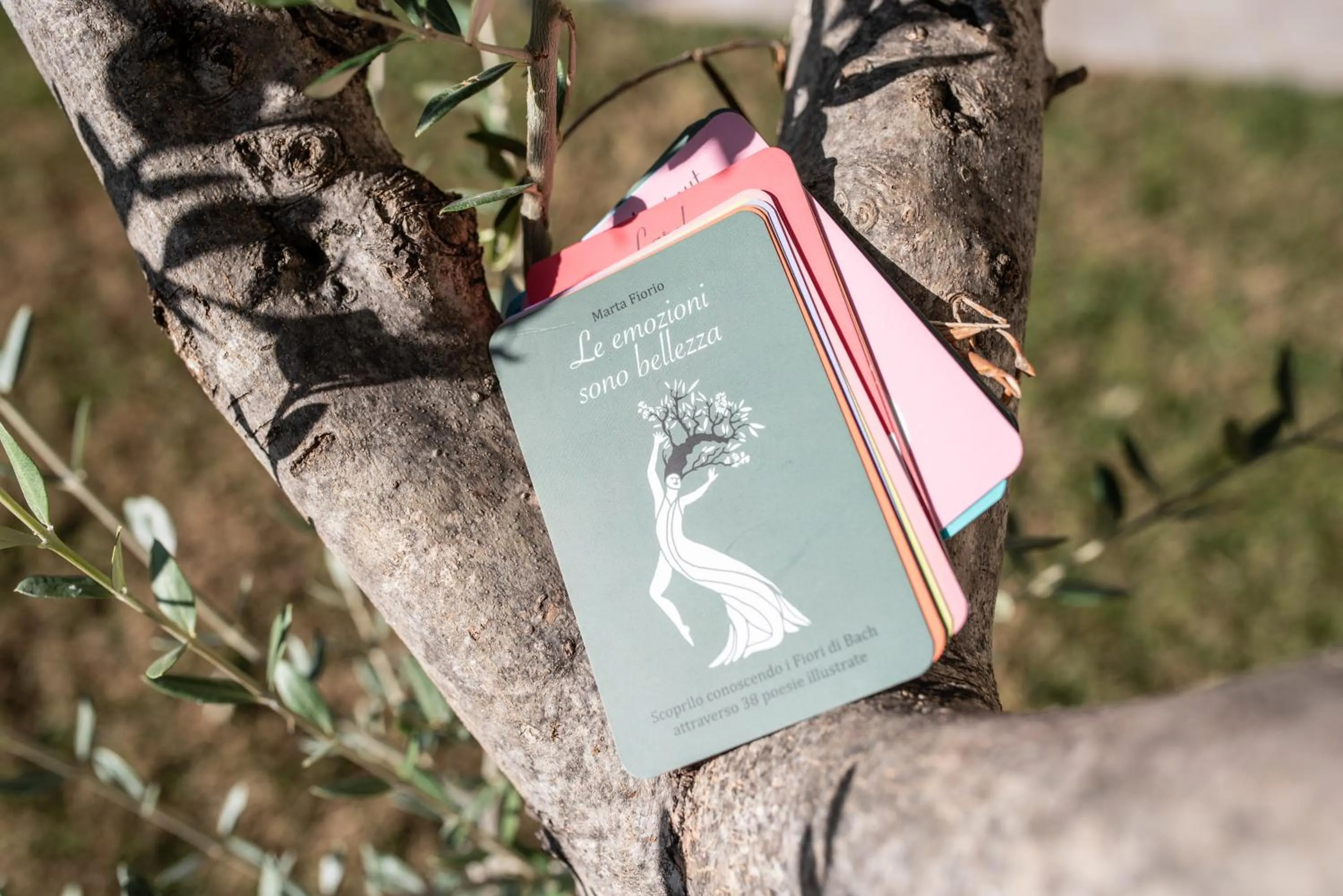 Villa di Cazzano - BioLuxury Living