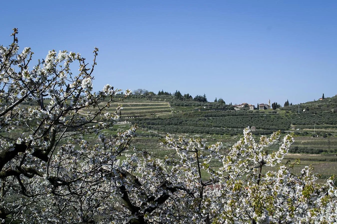 Spring in Villa di Cazzano - BioLuxury Living